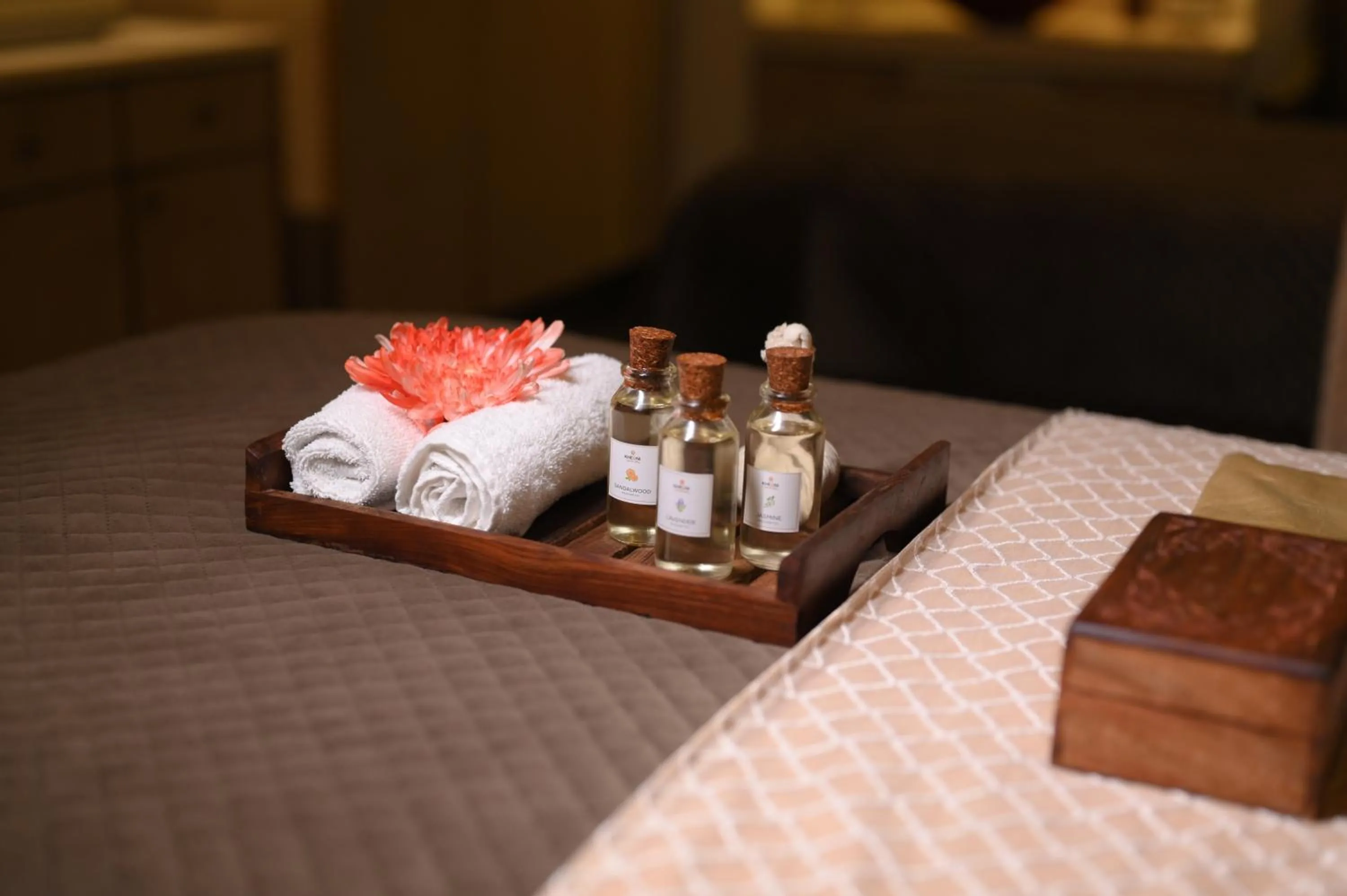 Spa and wellness centre/facilities in Le Meridien Gurgaon, Delhi NCR