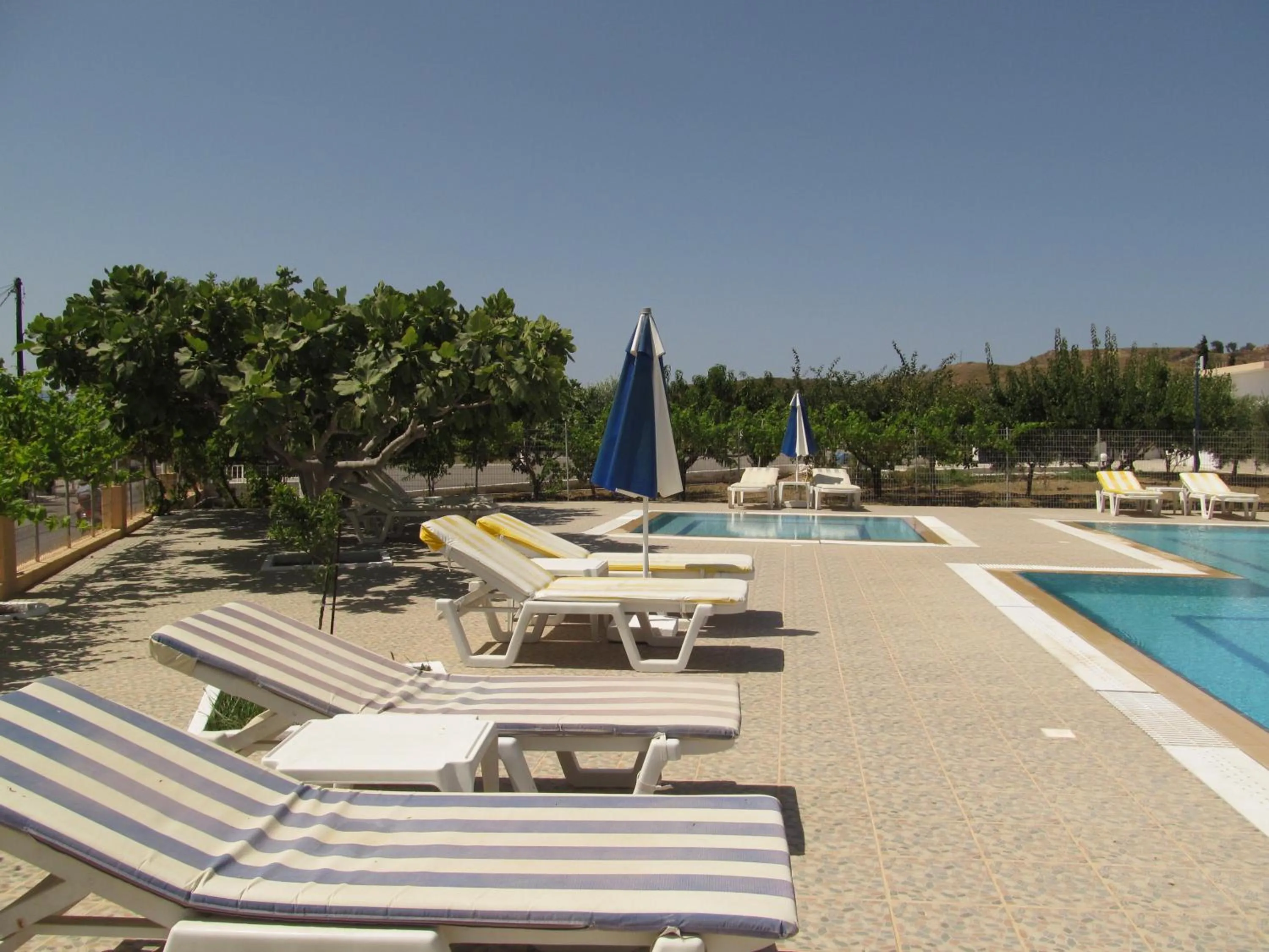 Swimming pool in Paraschos Studios Kos