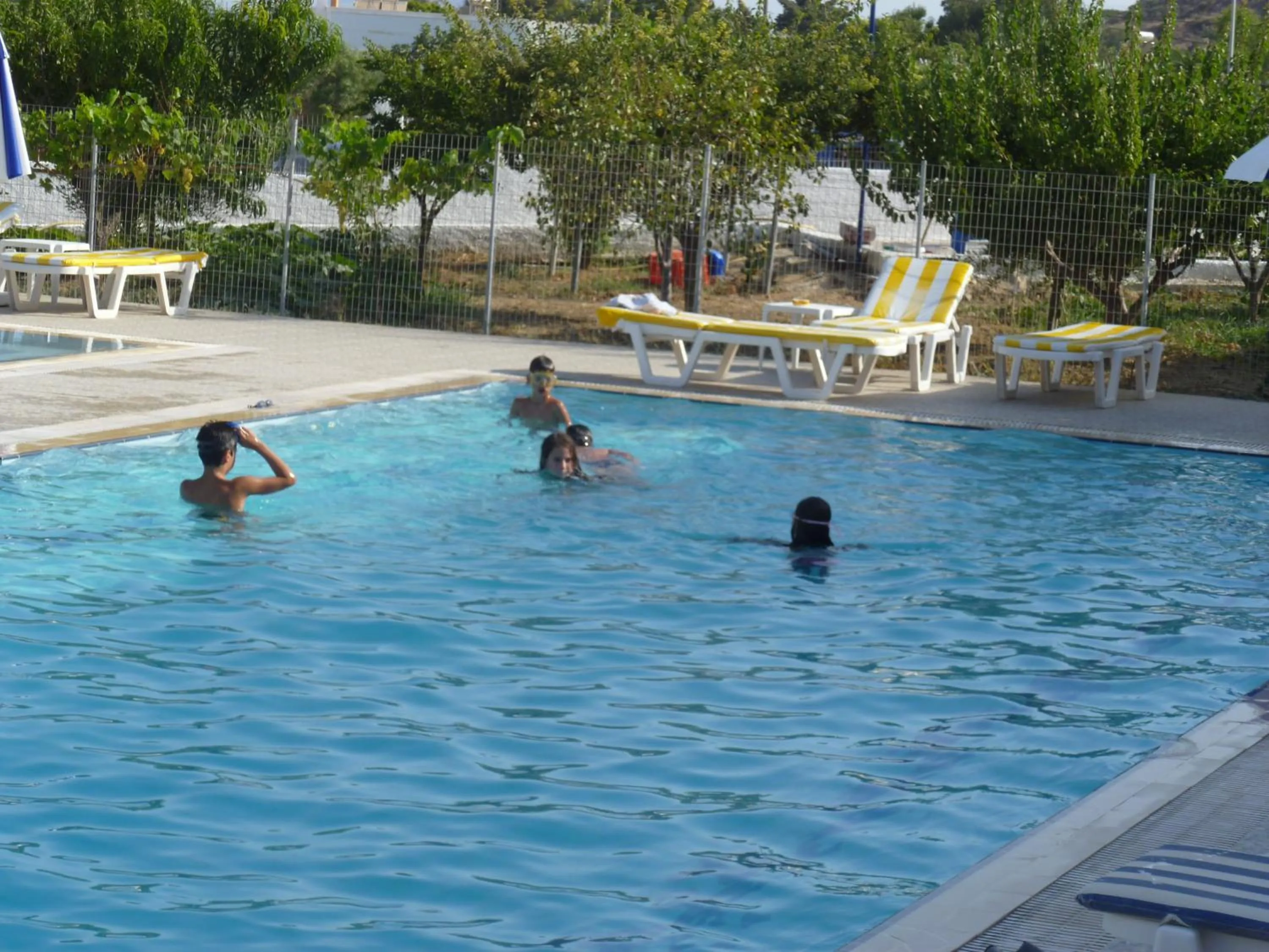 Pool view in Paraschos Studios Kos