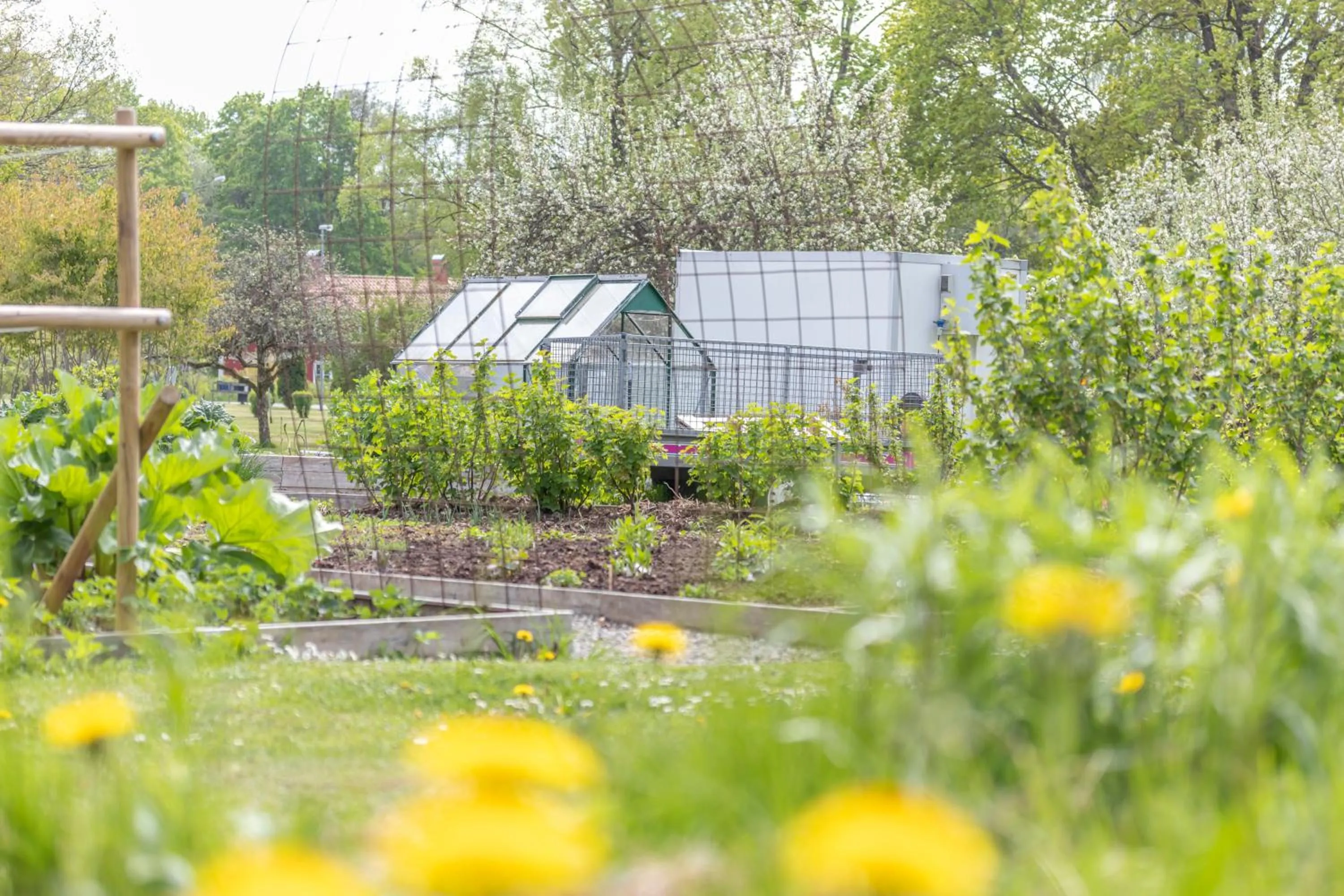 Garden in Villa Gransholm