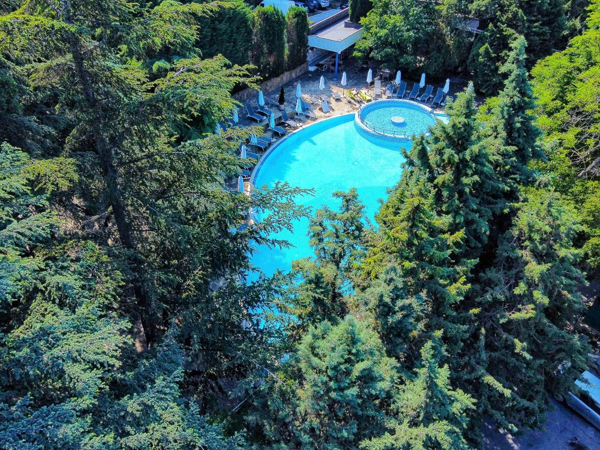 Pool view in Hotel Excelsior - All Inclusive