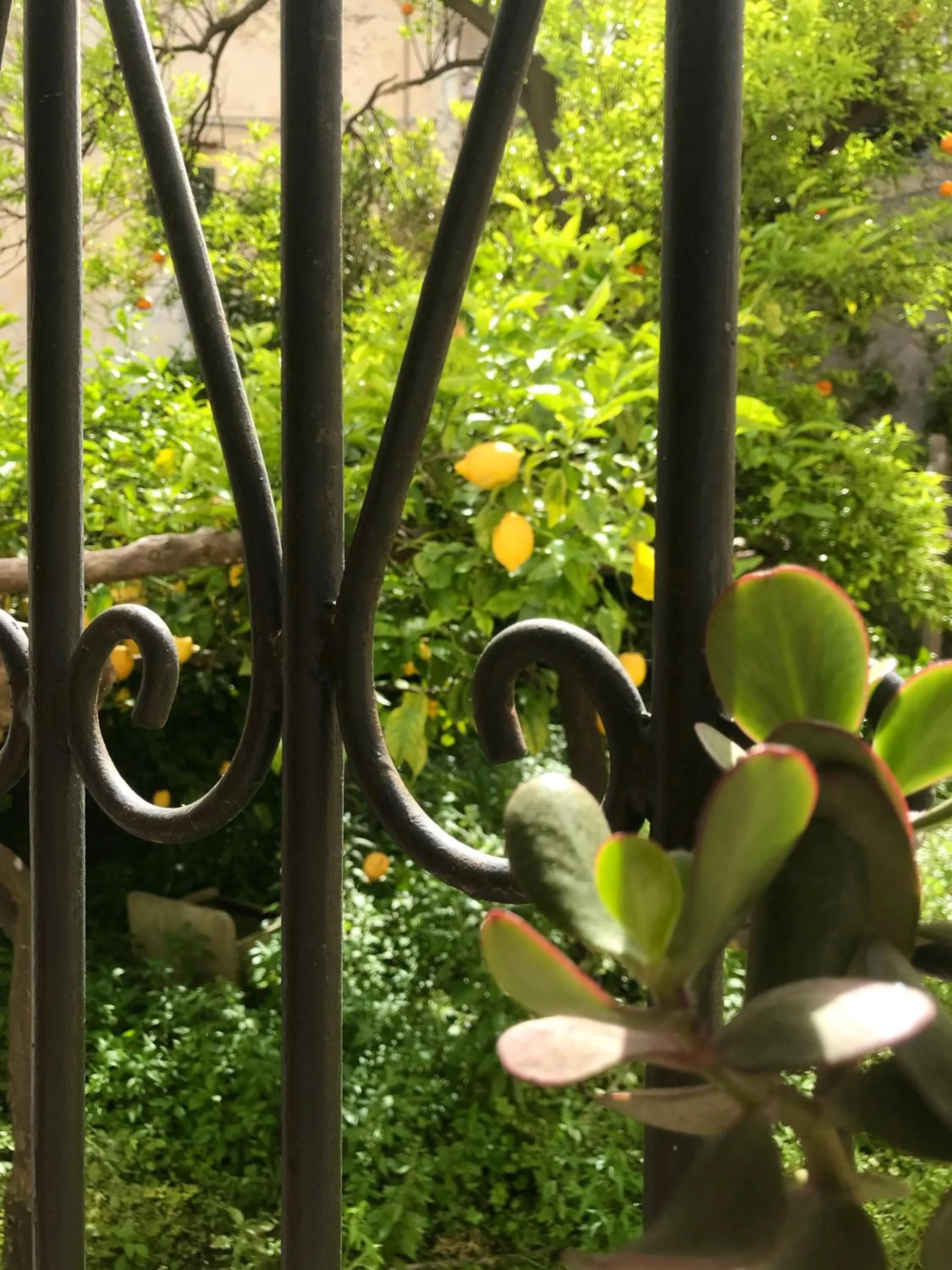 Garden view in La Corte dei Naviganti B&B - Amalfi Coast - Cetara