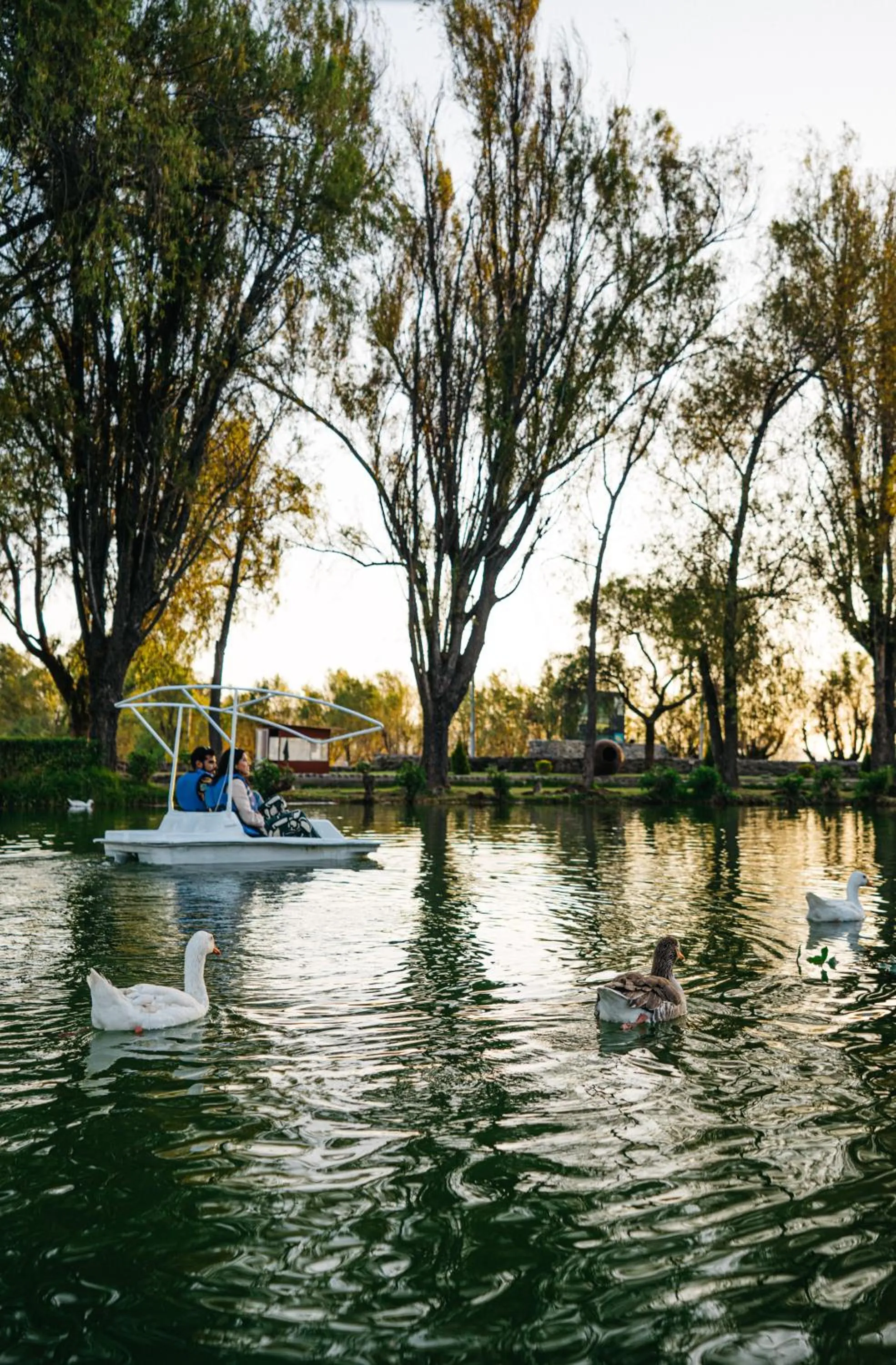 Lake view in El LAGO HOTEL by Luoxo