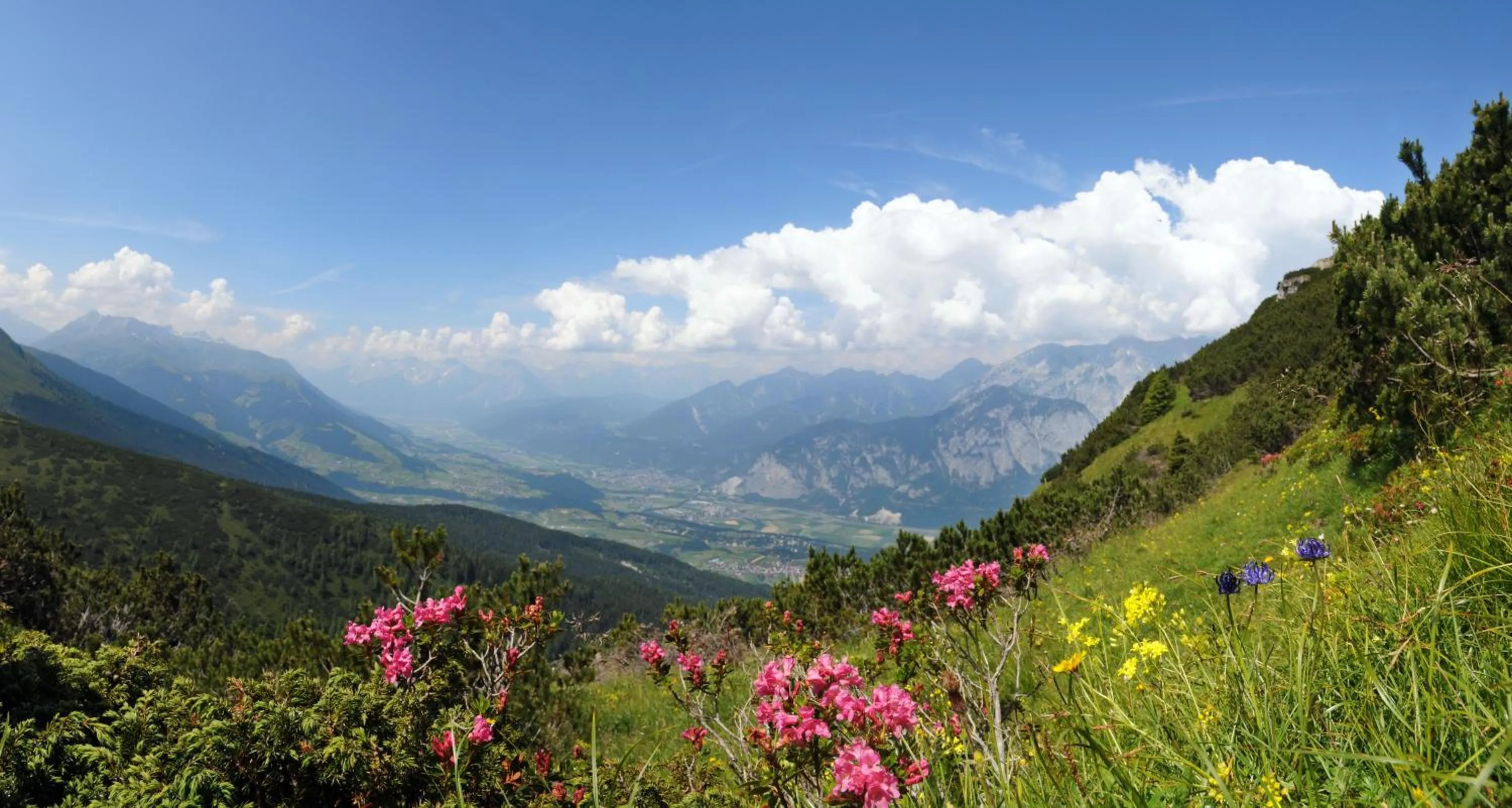 Natural landscape in Hotel Kleißl