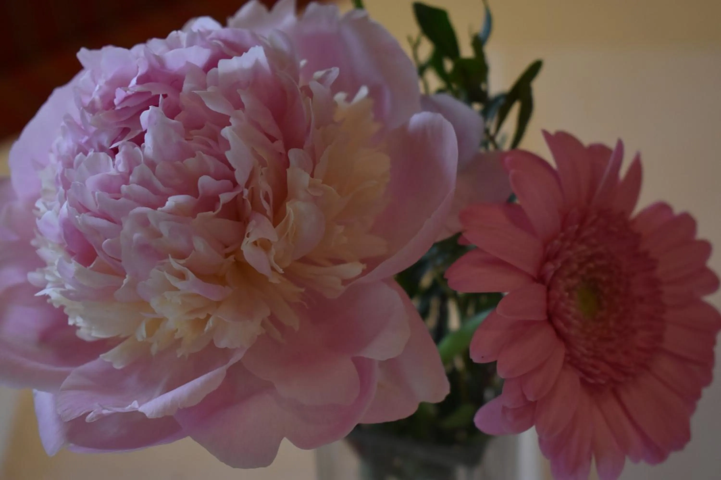 Decorative detail in Hotel Kleißl