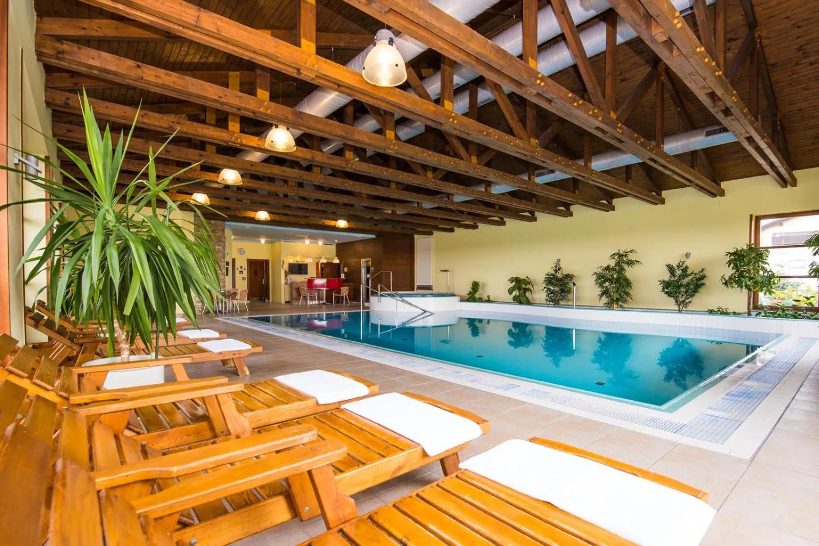 Swimming pool in Wellness Hotel Happy Star