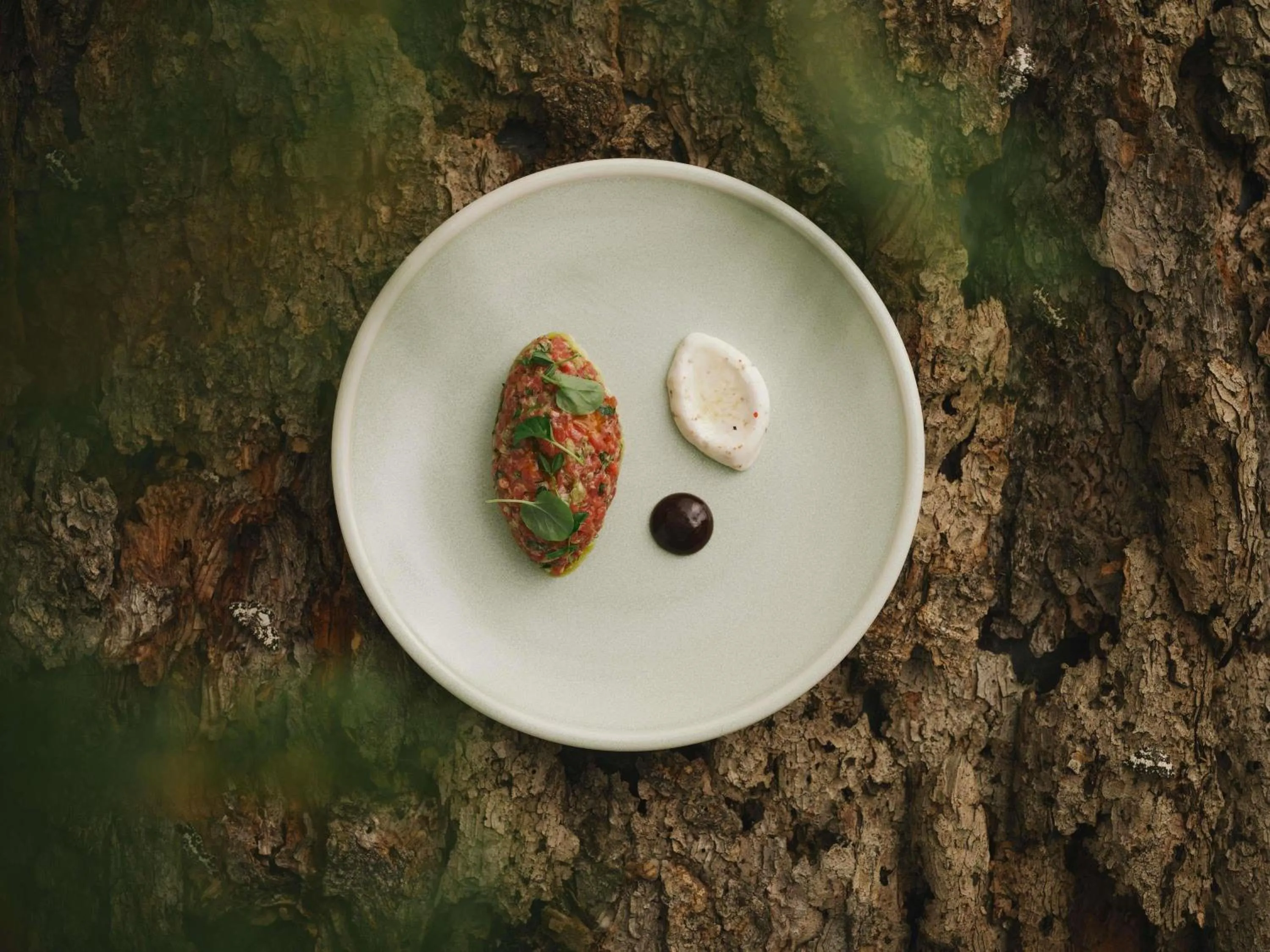 Restaurant/places to eat in Fairmont Banff Springs