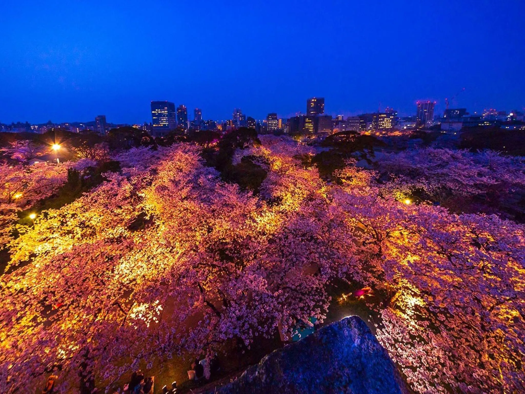 Nearby landmark in Hotel WBF Grande Hakata