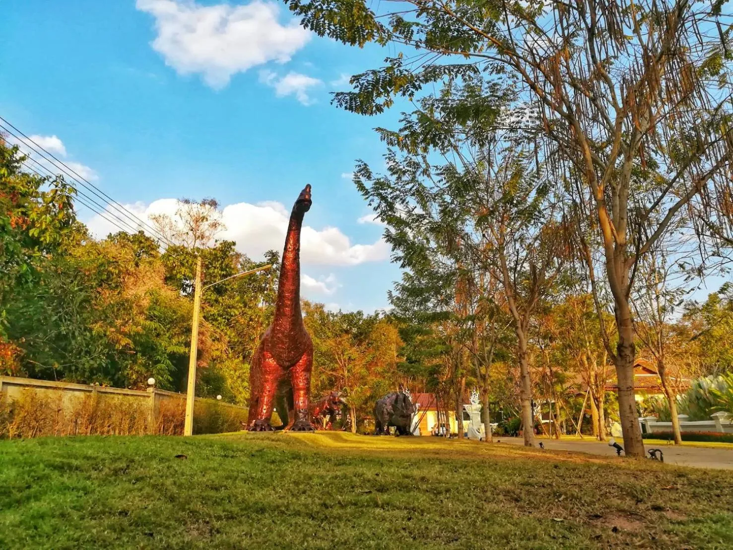Garden in Doithinnan Resort