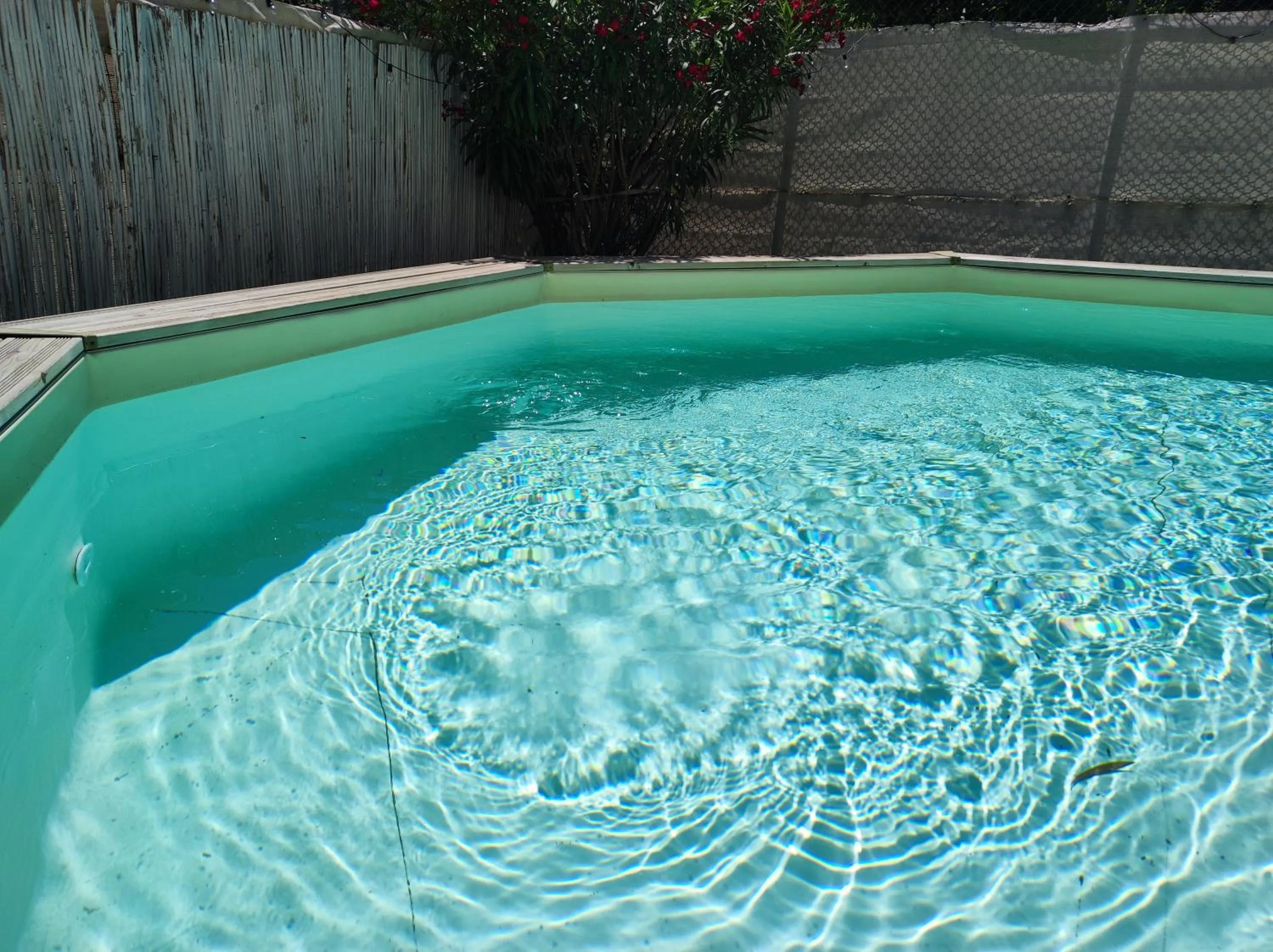 Day in Hotel Antonella