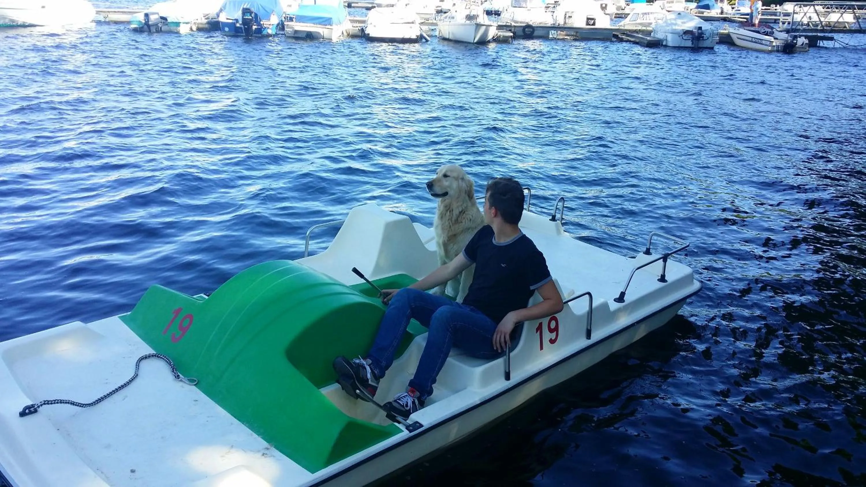 Activities in Hotel Restaurant La Caravelle