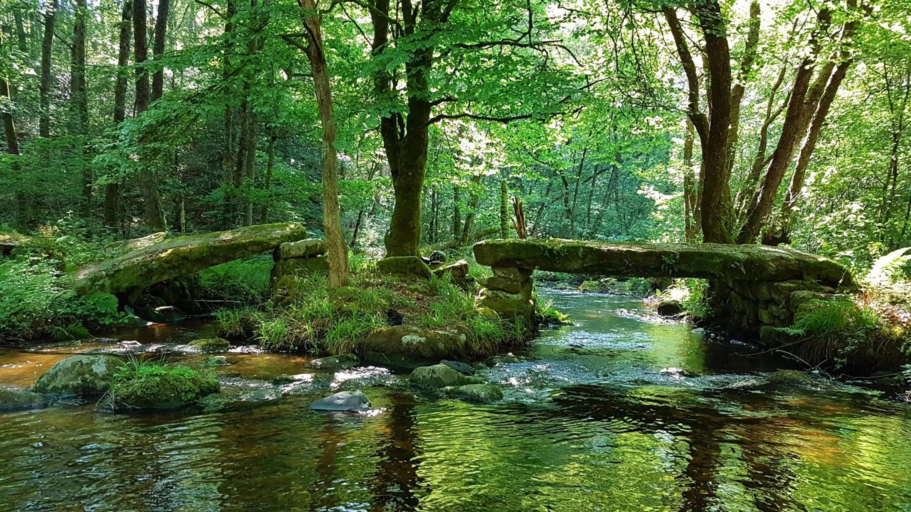 Hotel Restaurant La Caravelle