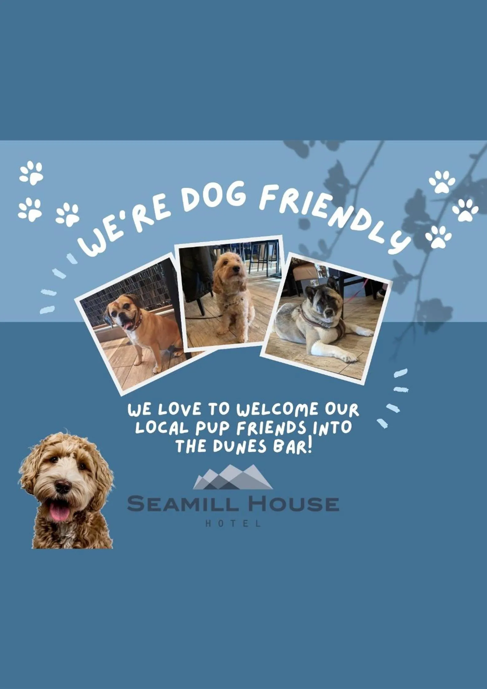 Pets in Seamill House Hotel