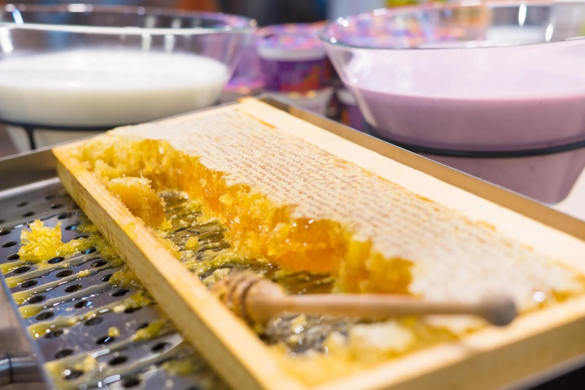 Breakfast in Park & Spa Hotel Markovo