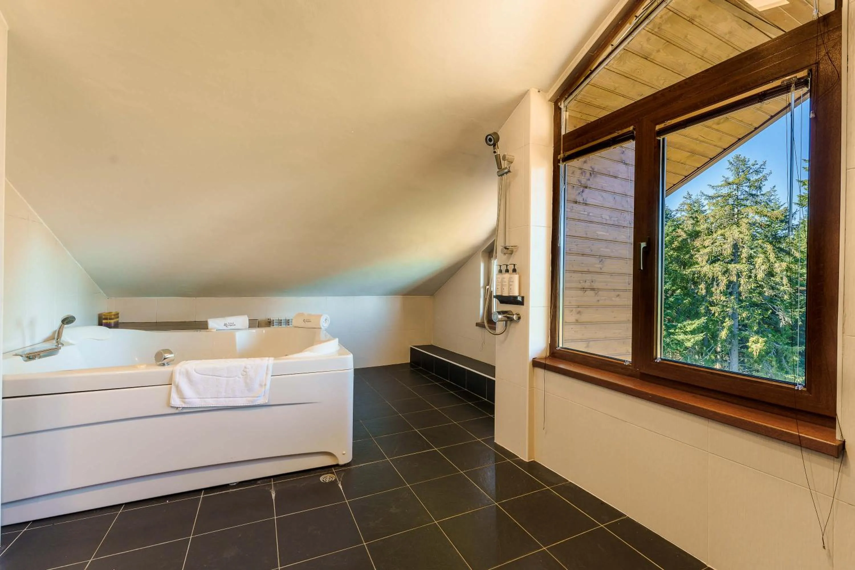 Bathroom, Bed in Musala Hotel