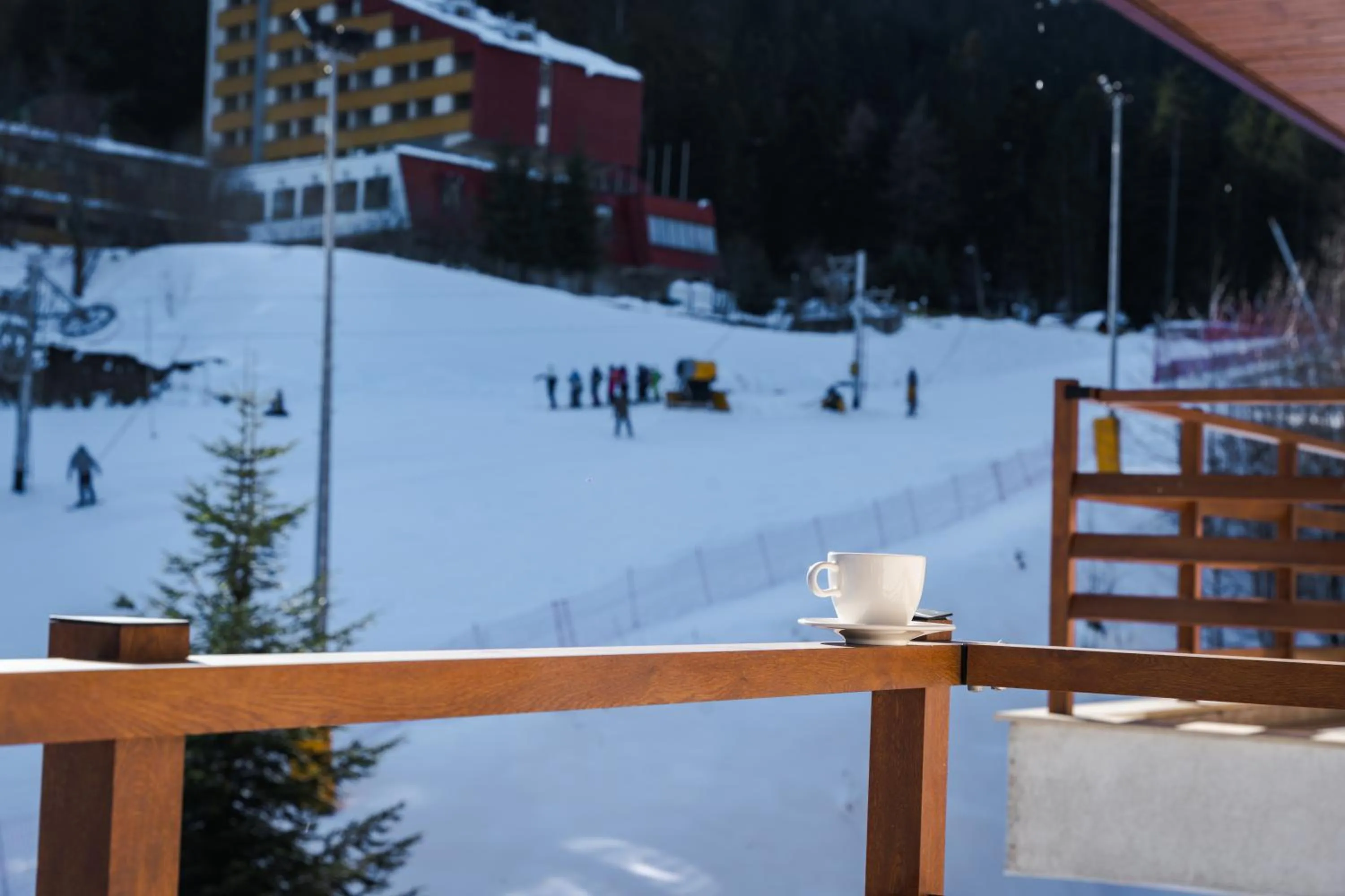 View (from property/room) in Musala Hotel