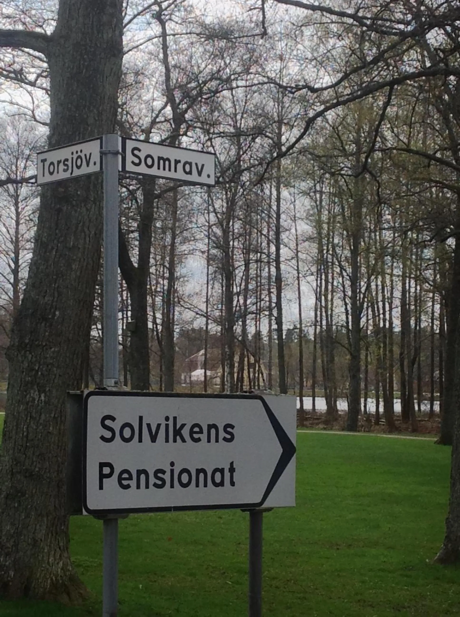 Logo/Certificate/Sign in Solvikens Pensionat
