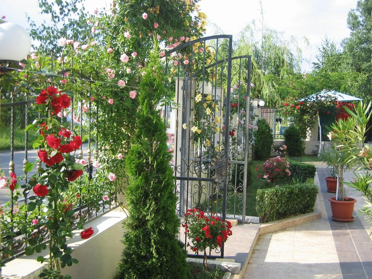 Patio in Hotel L&B- Free parking