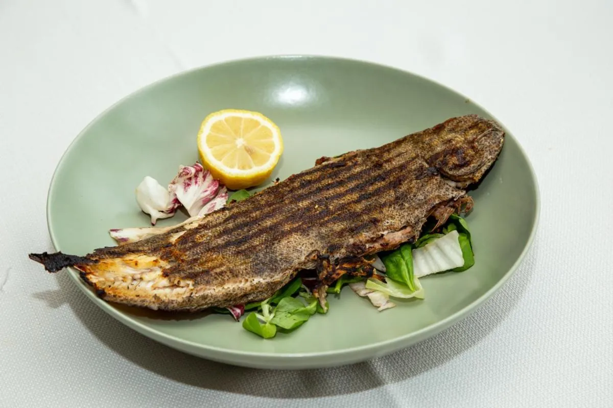 Food and drinks in Hotel Bueno