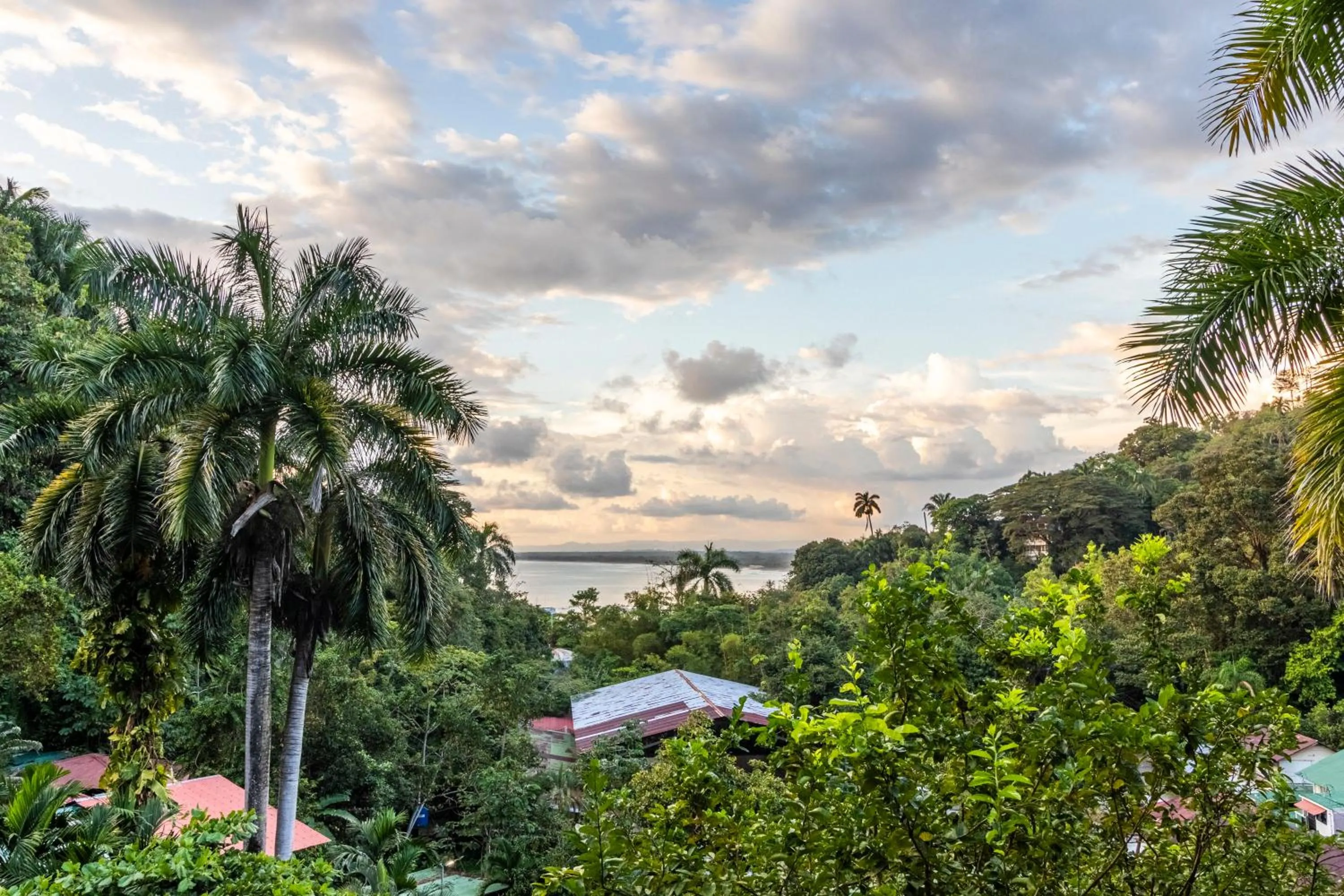 View (from property/room) in Boutique Hotel Las Cascadas