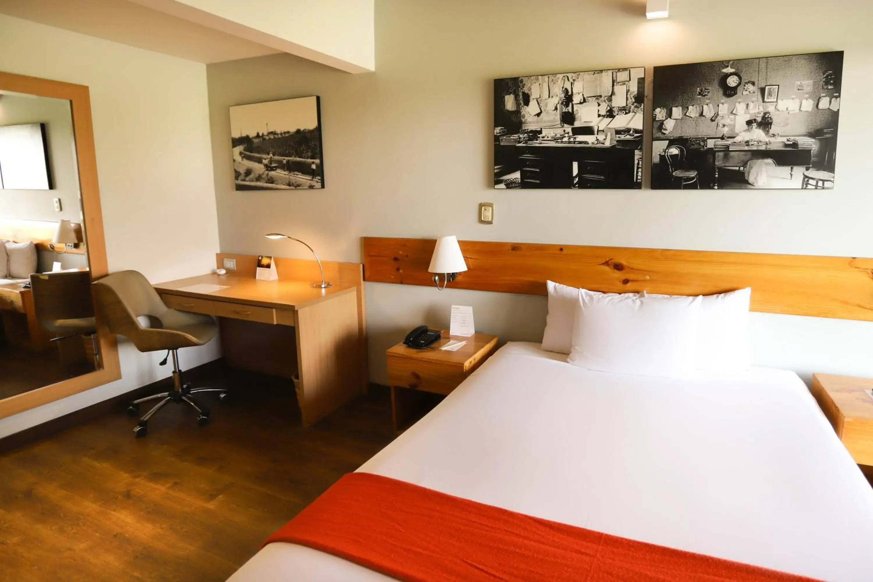 Double Room - single occupancy in Casa Andina Standard Chincha Double Room - single occupancy in Casa Andina Standard Chincha