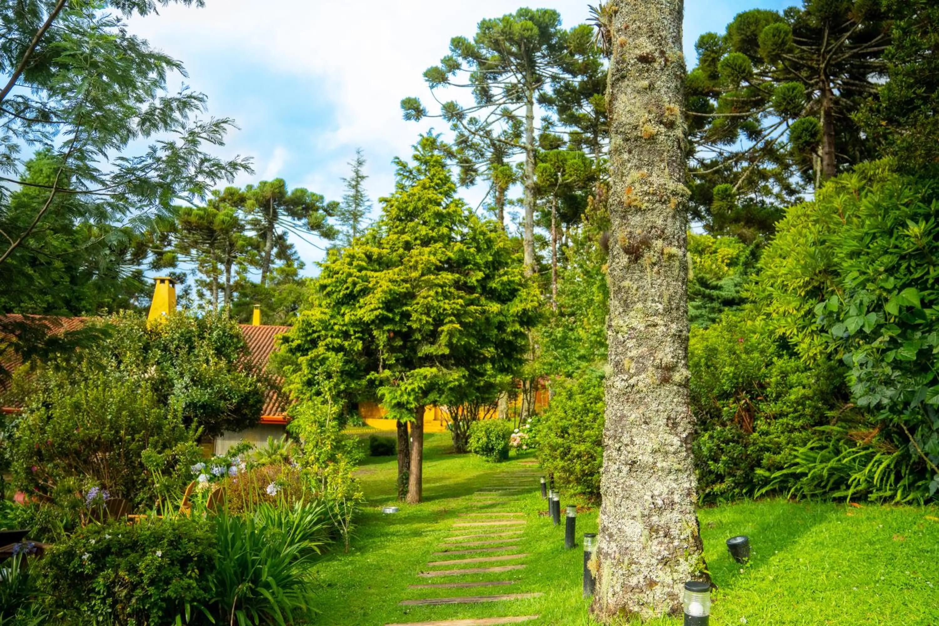 Spring in Surya-Pan Refúgio Hotel - Super Pet Friendly