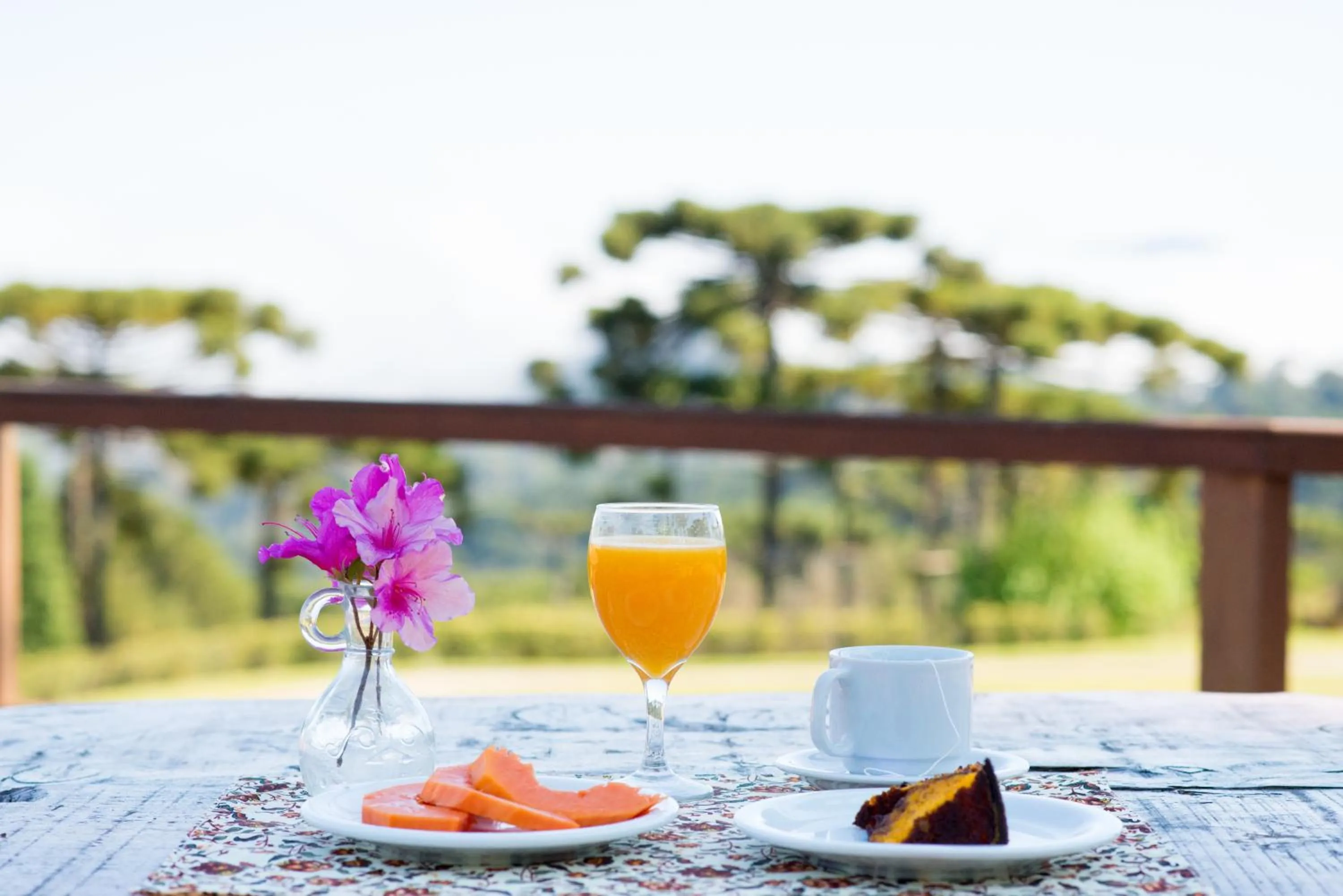 Day in Surya-Pan Refúgio Hotel - Super Pet Friendly