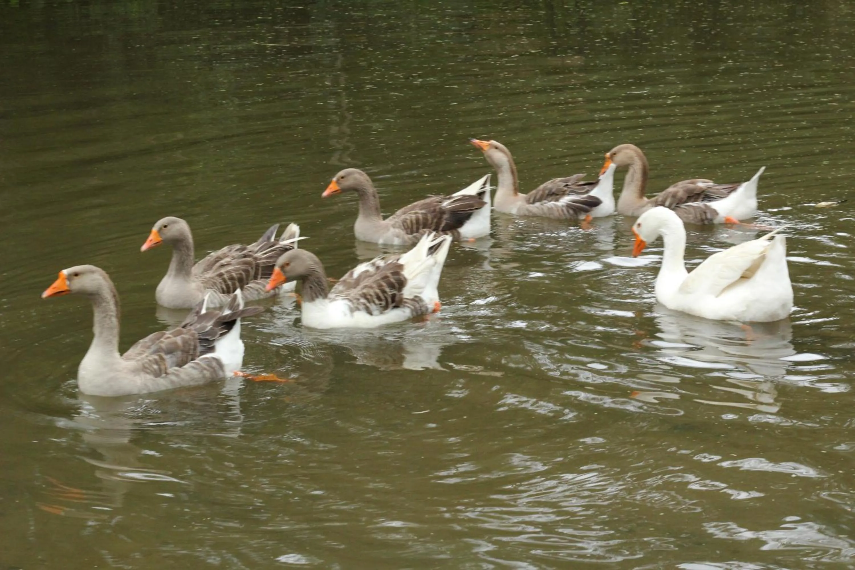 Lake view in Hotel Pousada Esmeralda