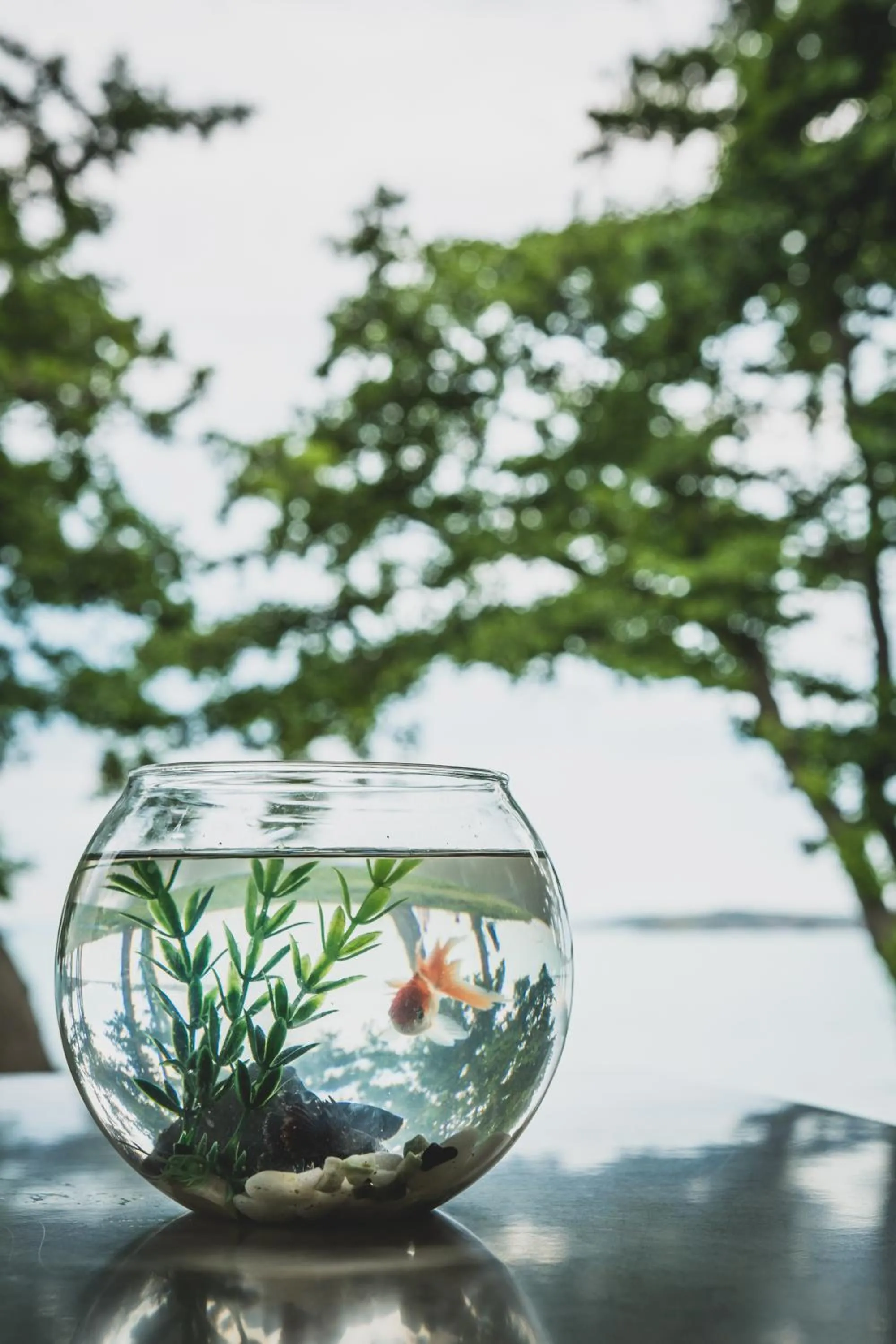 Decorative detail in Santa Marina Holiday Village