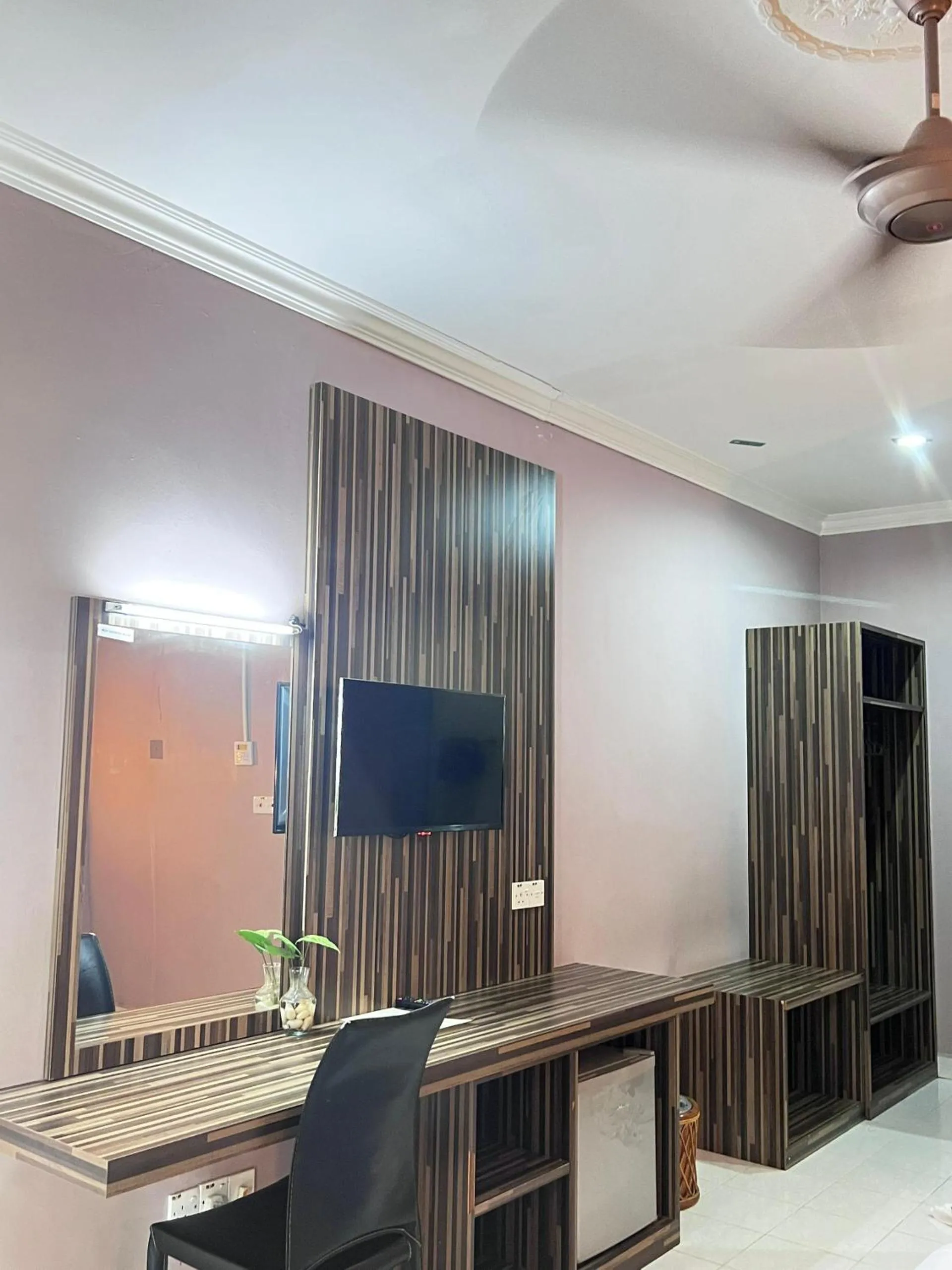 TV and multimedia in White Lodge