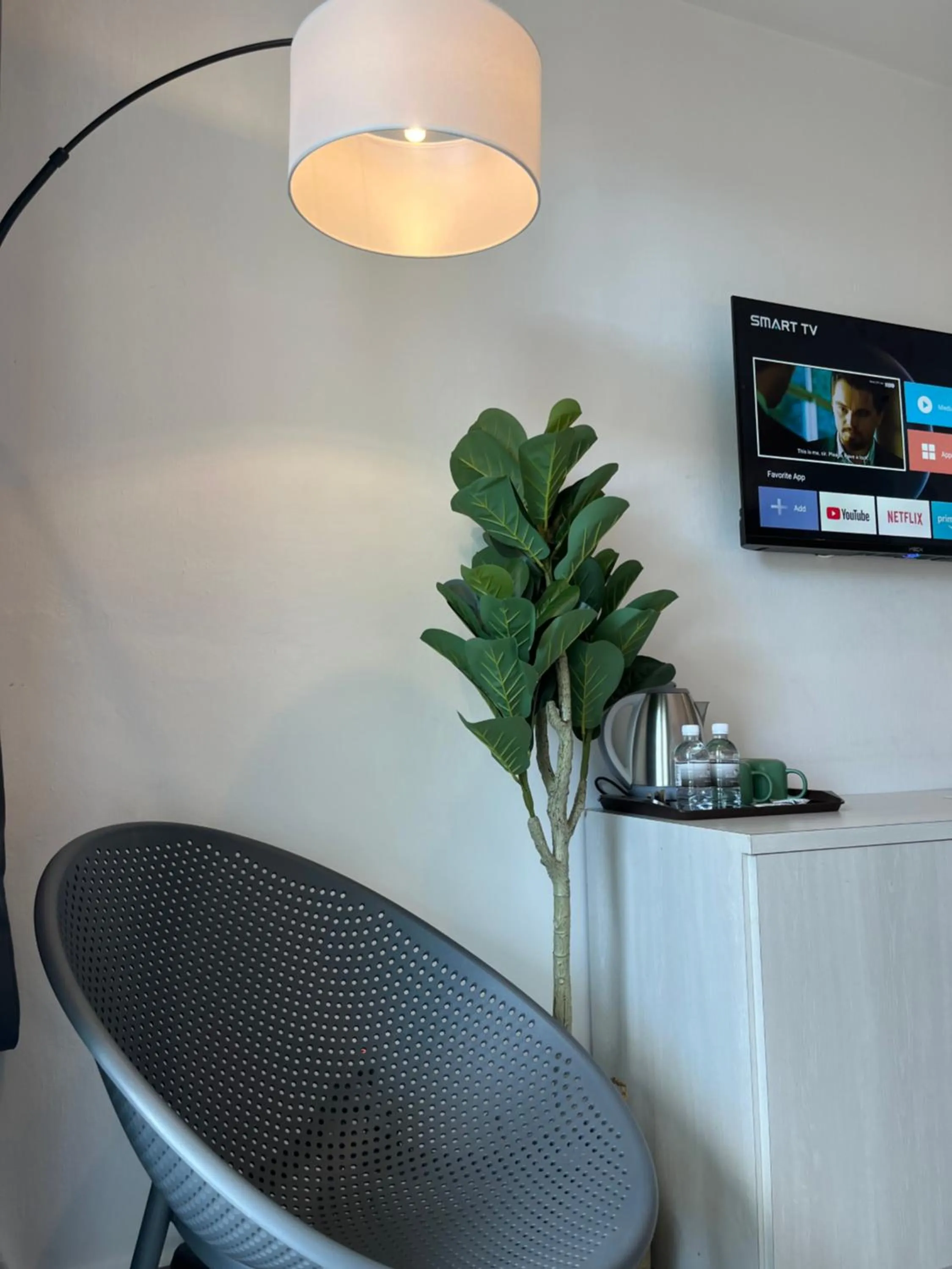 TV and multimedia in White Lodge