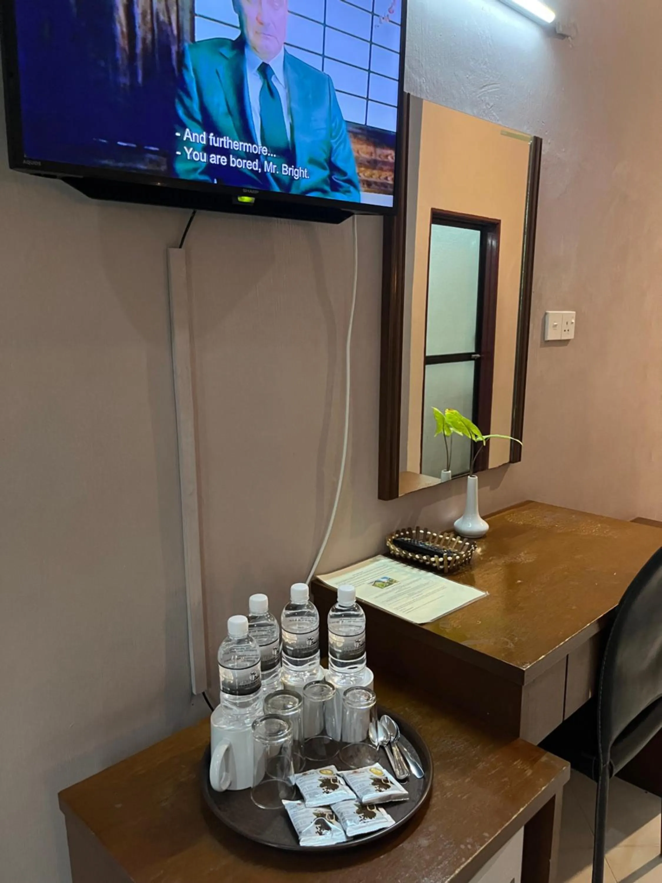 TV and multimedia in White Lodge