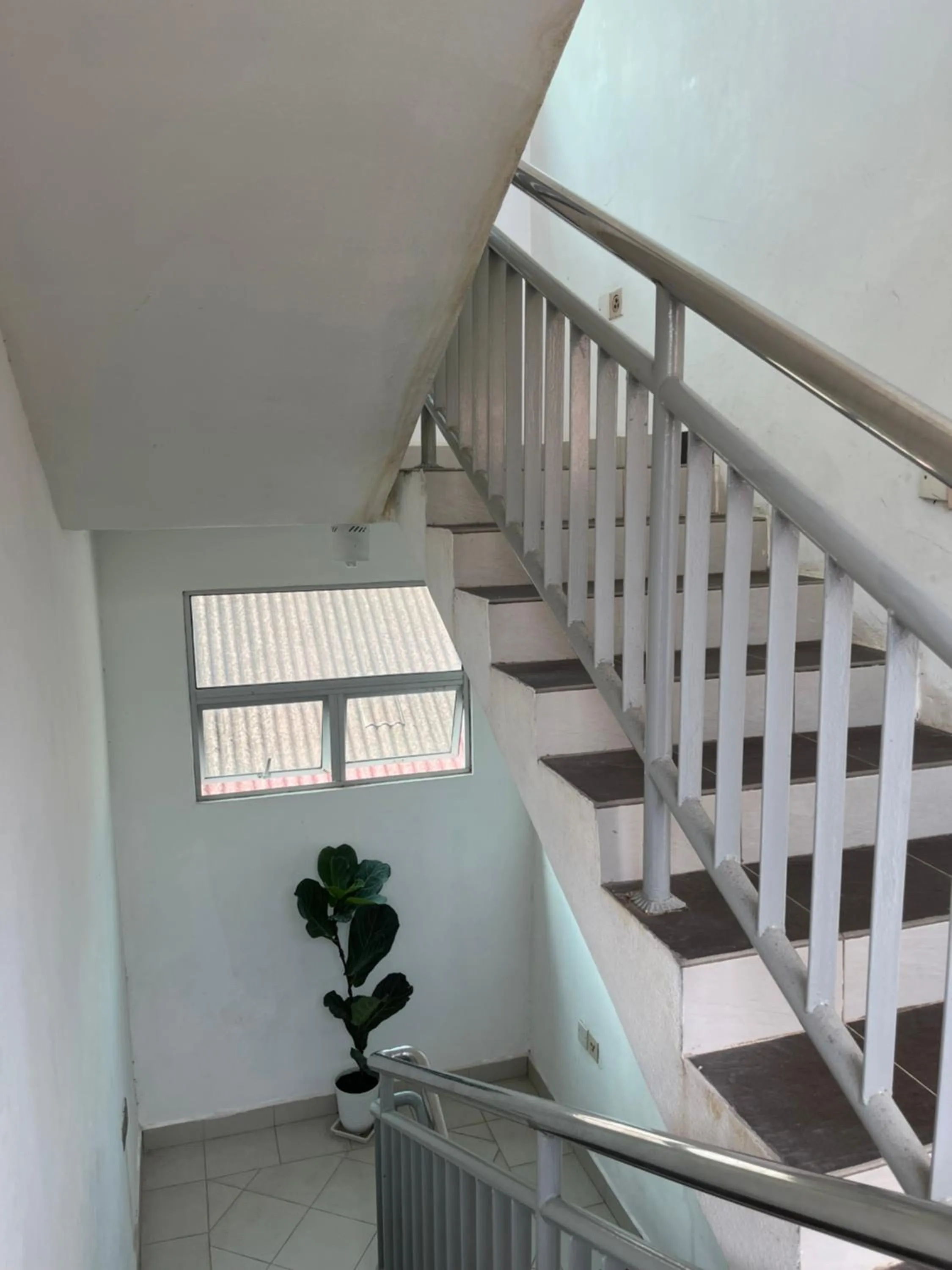 Property building in White Lodge