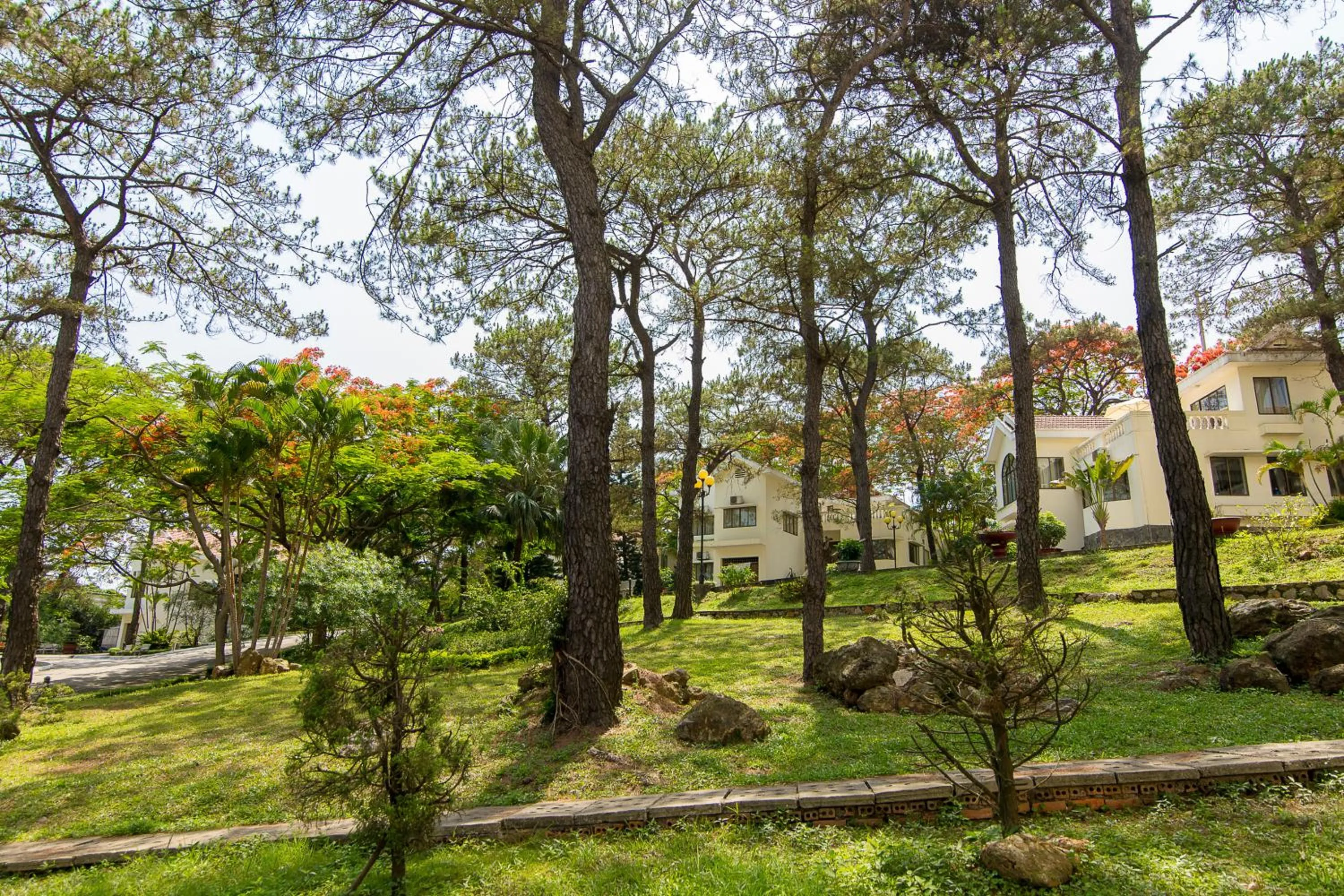 Property building in Sai Gon Ha Long Hotel