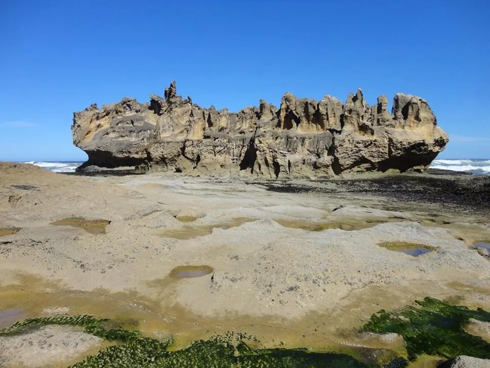 Area and facilities in South Villa Guesthouse&Garden