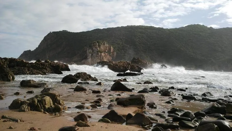 Area and facilities in South Villa Guesthouse&Garden