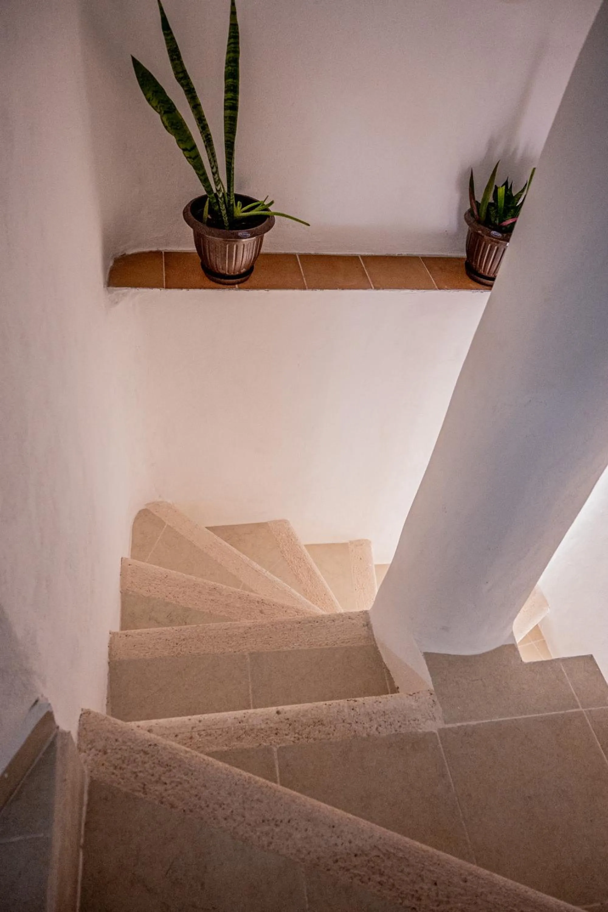 Cancún Suites Apartments - Hotel Zone