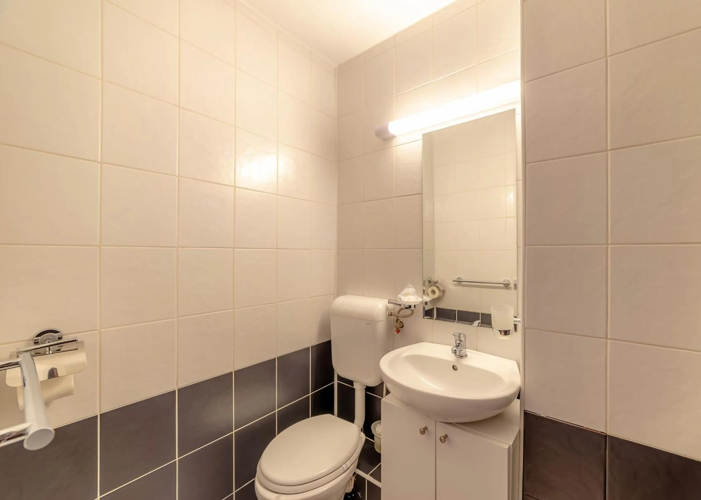 Bathroom in Pension Cluj