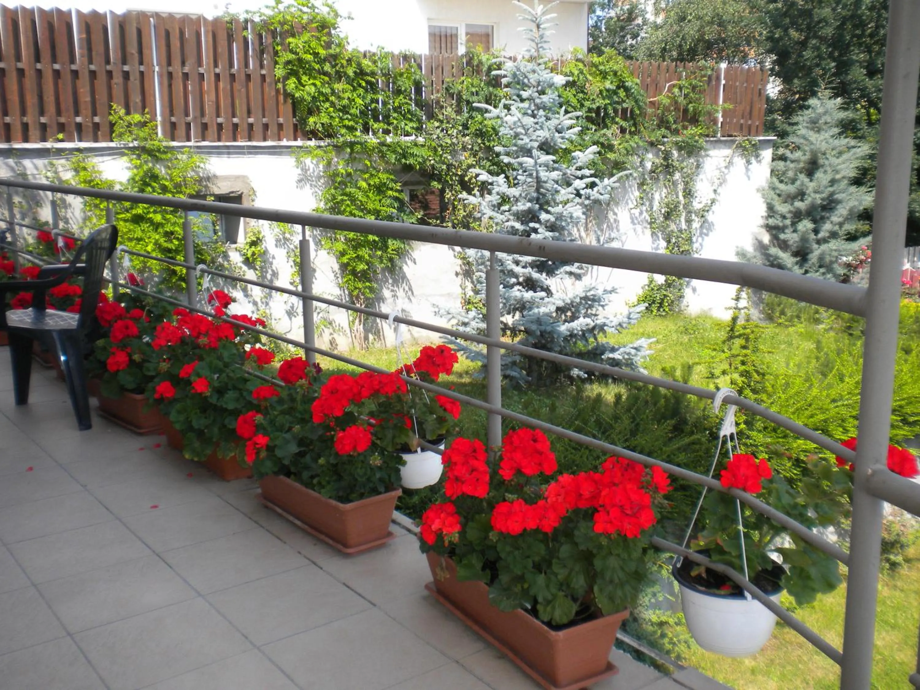 Balcony/Terrace in Pension Cluj
