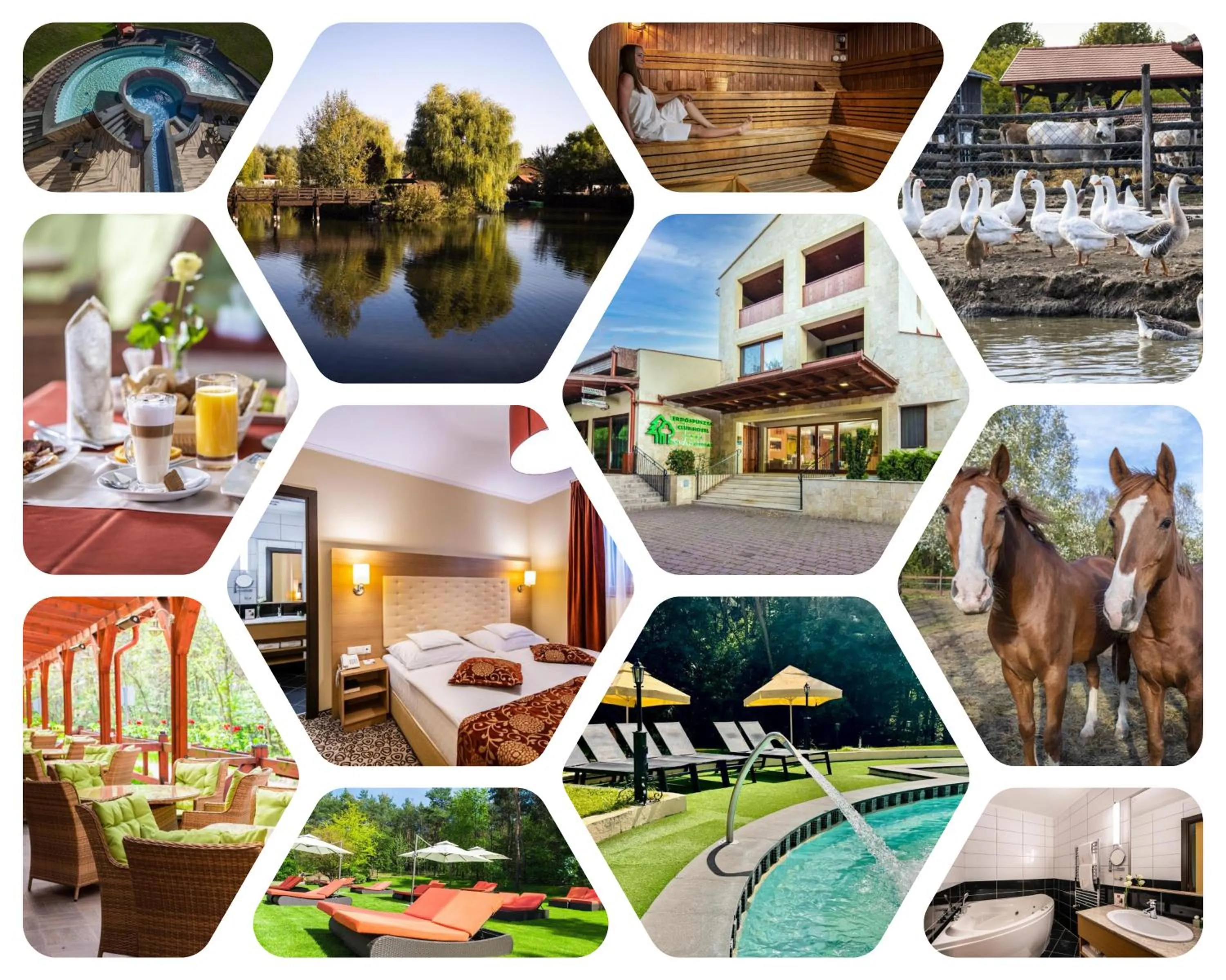 Property building in Erdőspuszta Club Hotel Fenyves