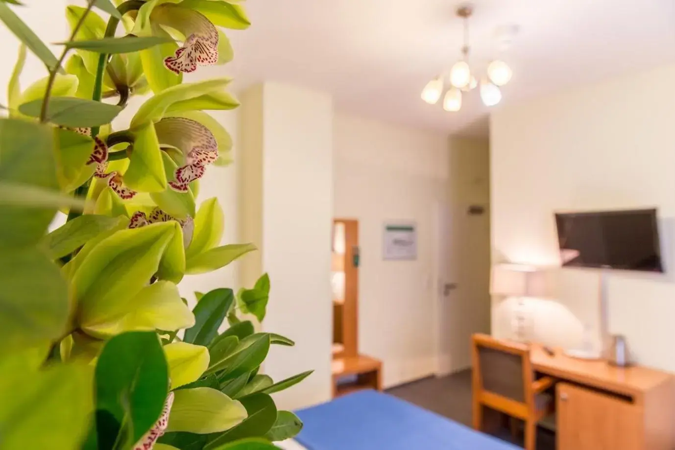 Business Twin Room in Hotel Expo Frankfurt City Centre Business Twin Room in Hotel Expo Frankfurt City Centre