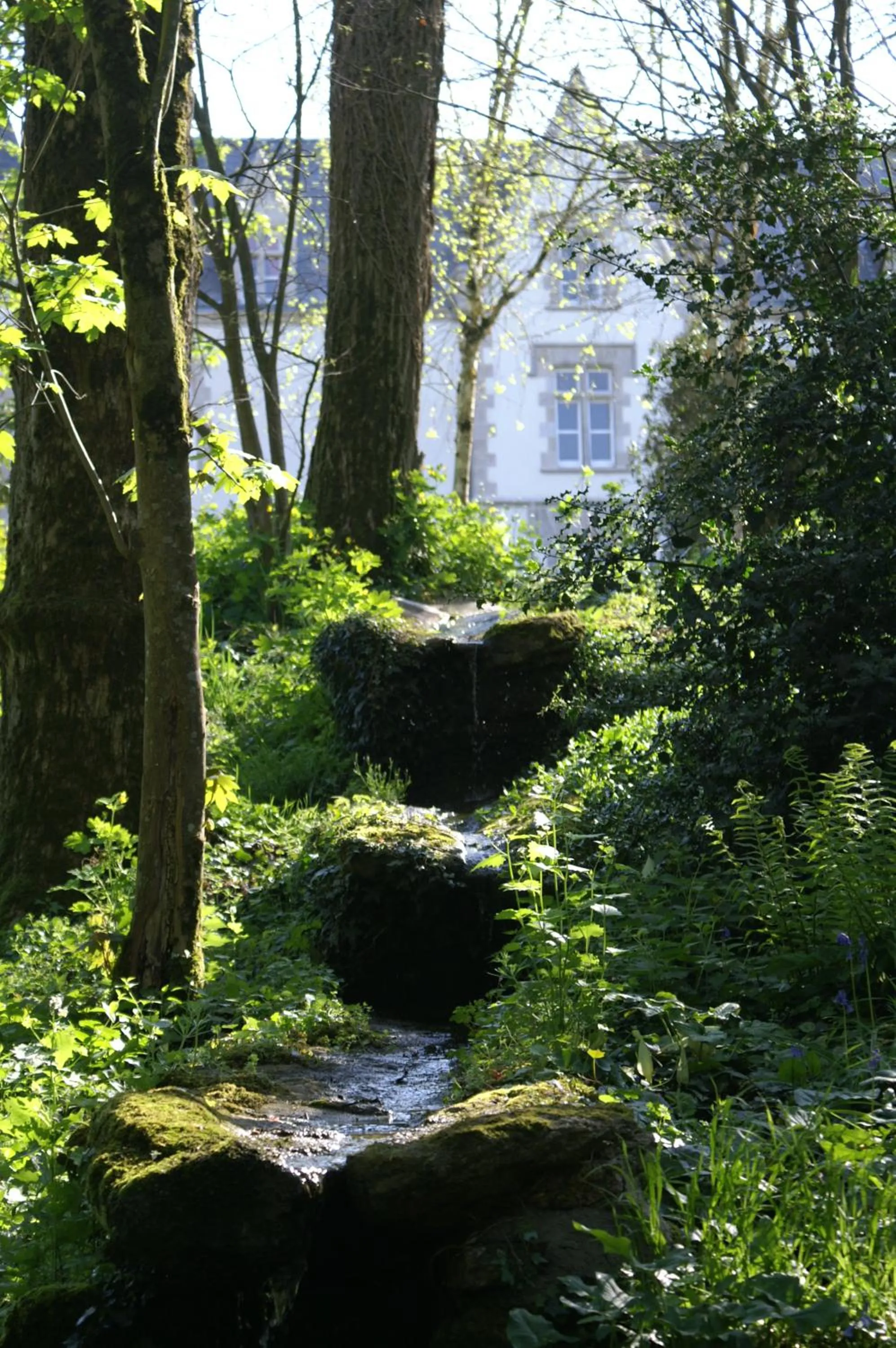 Natural landscape in Chateau Du Boisniard