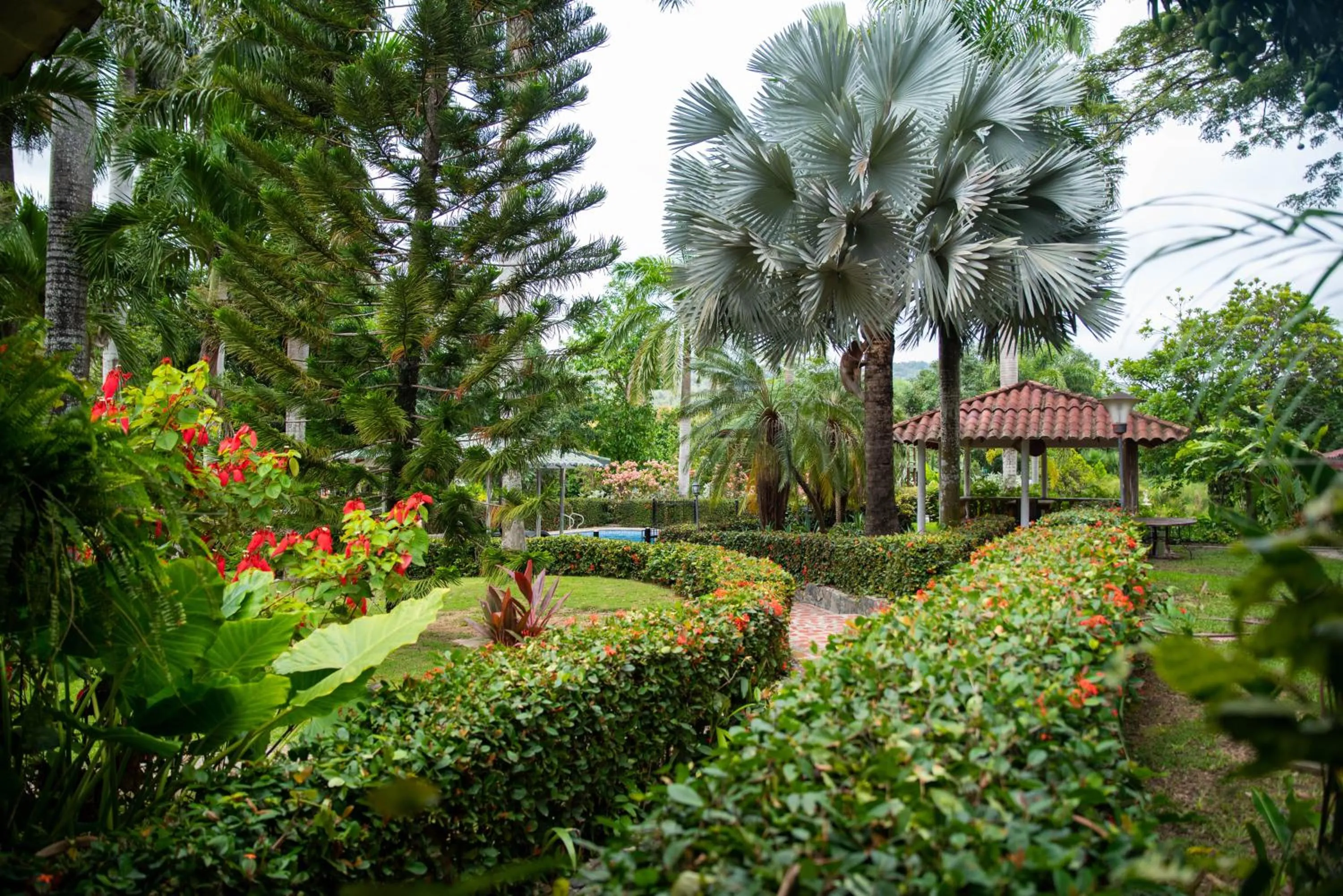 Garden in Portales del Tayrona Garden Hotel