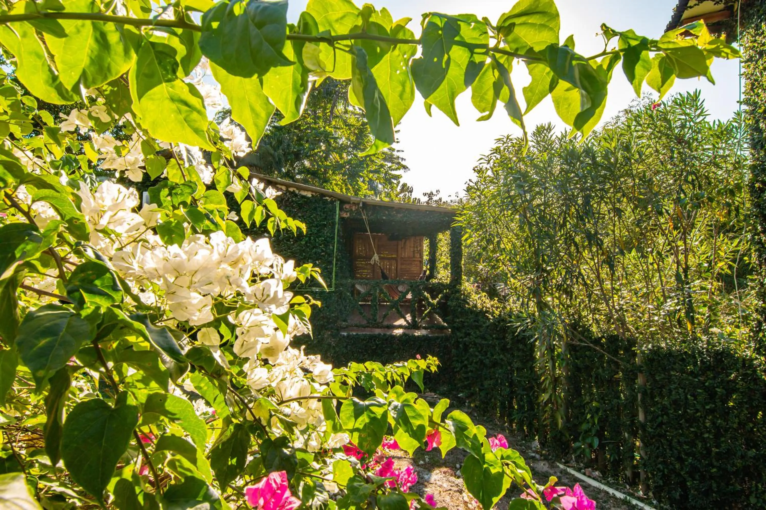 Garden view in Portales del Tayrona Garden Hotel