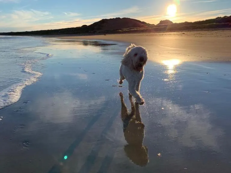 Activities in Pew with a View - Seafront Cottages