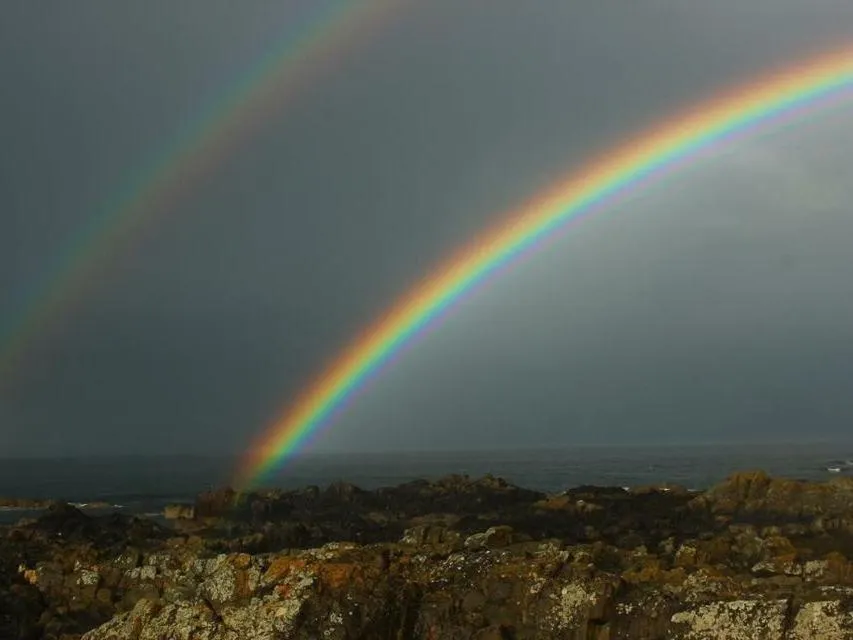View (from property/room) in Pew with a View - Seafront Cottages