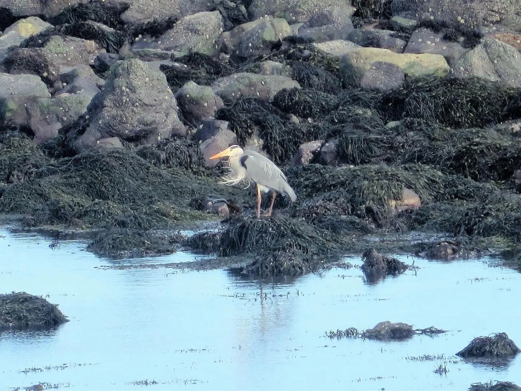 Activities in Pew with a View - Seafront Cottages