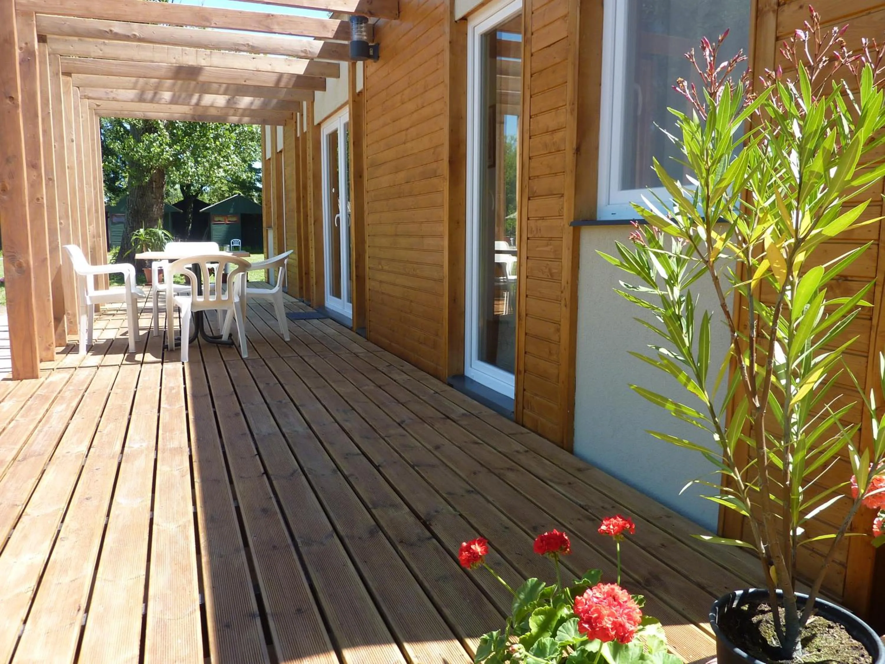 Patio in Zsanett Hotel