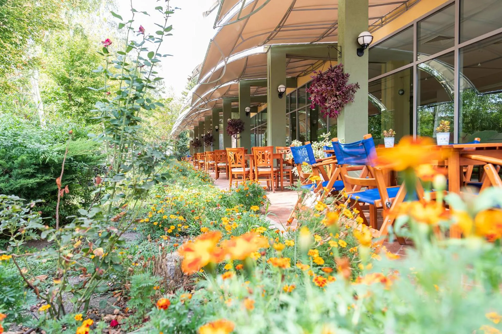 Restaurant/places to eat in Ivana Palace Hotel - Free Parking