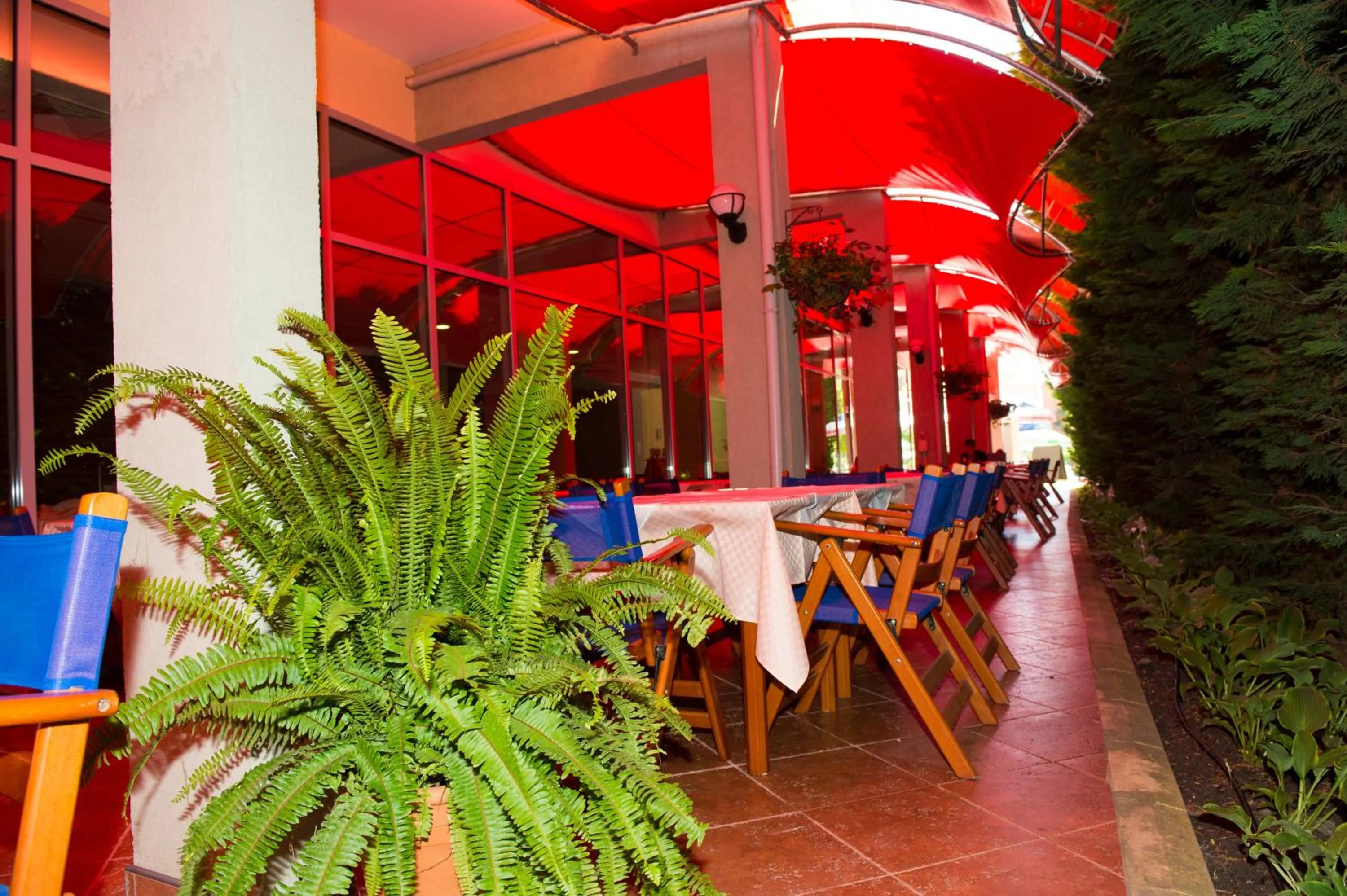 Restaurant/places to eat in Ivana Palace Hotel - Free Parking